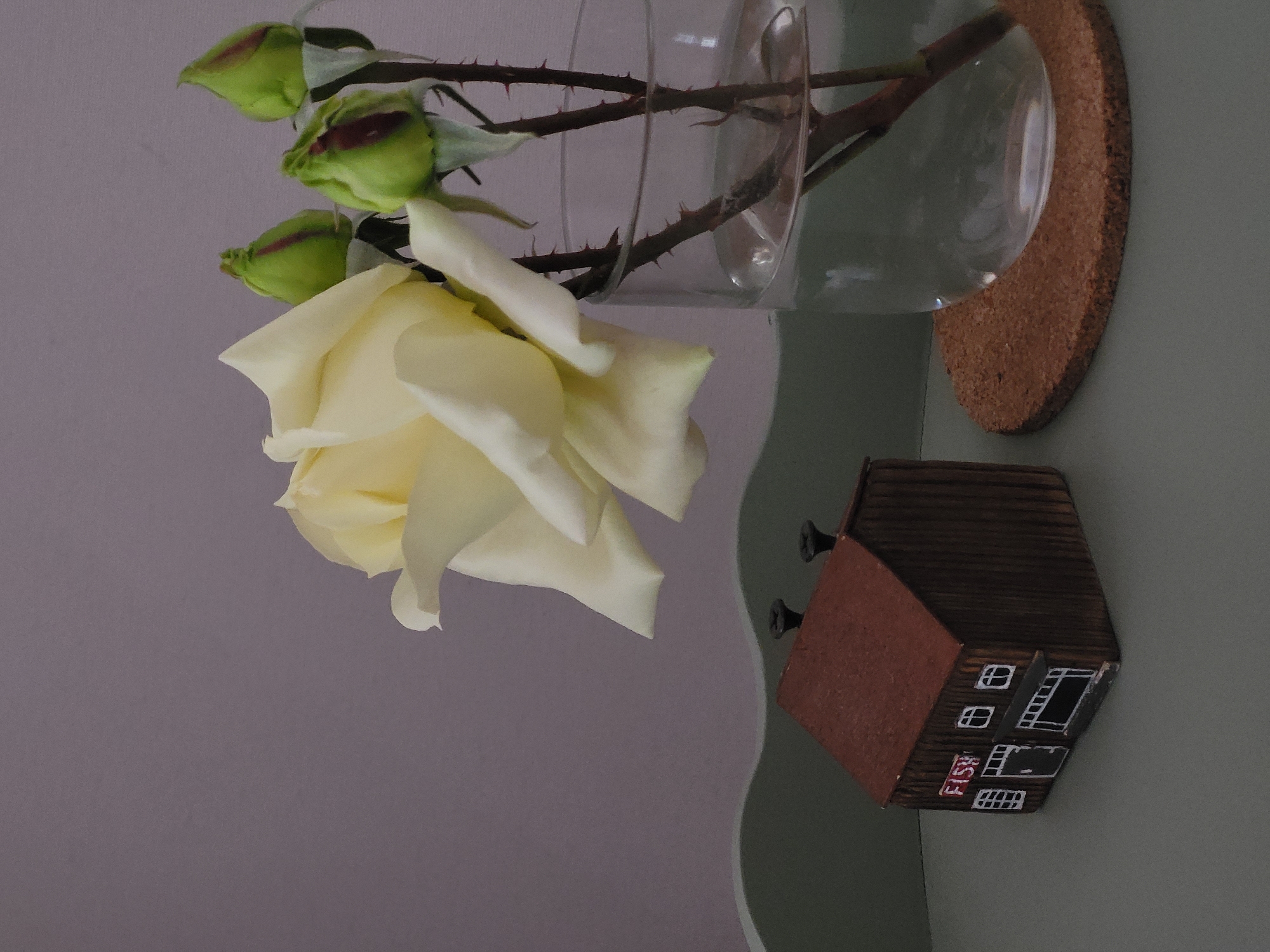 The image presents a decorative still life arrangement, rotated 90 degrees clockwise, against a muted grey background.
The primary subjects are a bouquet of roses and a miniature house ornament, positioned on a light green, possibly curved, shelf or ledge. On the left side of the rotated image, a large, creamy white rose in full bloom takes prominence, with its delicate petals unfurling. Above it, three green rosebuds, some showing hints of red or purple peeking through their sepals, are visible. The roses are held in a simple, clear glass vase, which rests on a circular cork coaster. The rose stems inside the vase display prominent thorns.
To the right of the floral arrangement, a miniature wooden house ornament is secured to the shelf with two small black screws visible on its roof. The house has a dark brown body, a reddish-brown roof, and white painted details depicting windows and a door.
No specific activity or event is taking place; it's a static display. The time of day and weather are not discernible. The setting appears to be an indoor decorative arrangement.
The word "FISH" is painted in red capital letters on the side of the miniature wooden house ornament. The location context of Budva, Montenegro, is provided but not visually identifiable within the image itself.