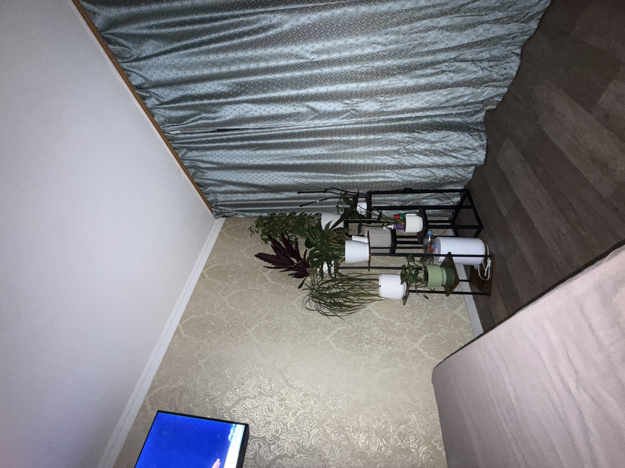 The image shows a bedroom with a bed in the foreground and a patterned wallpaper on the wall. There is a television mounted on the wall to the left. To the right of the television, a multi-tiered plant stand holds several potted plants. Behind the plant stand and extending to the right is a large, textured curtain. The floor is made of dark wood planks. The scene appears to be indoors, in a domestic setting.