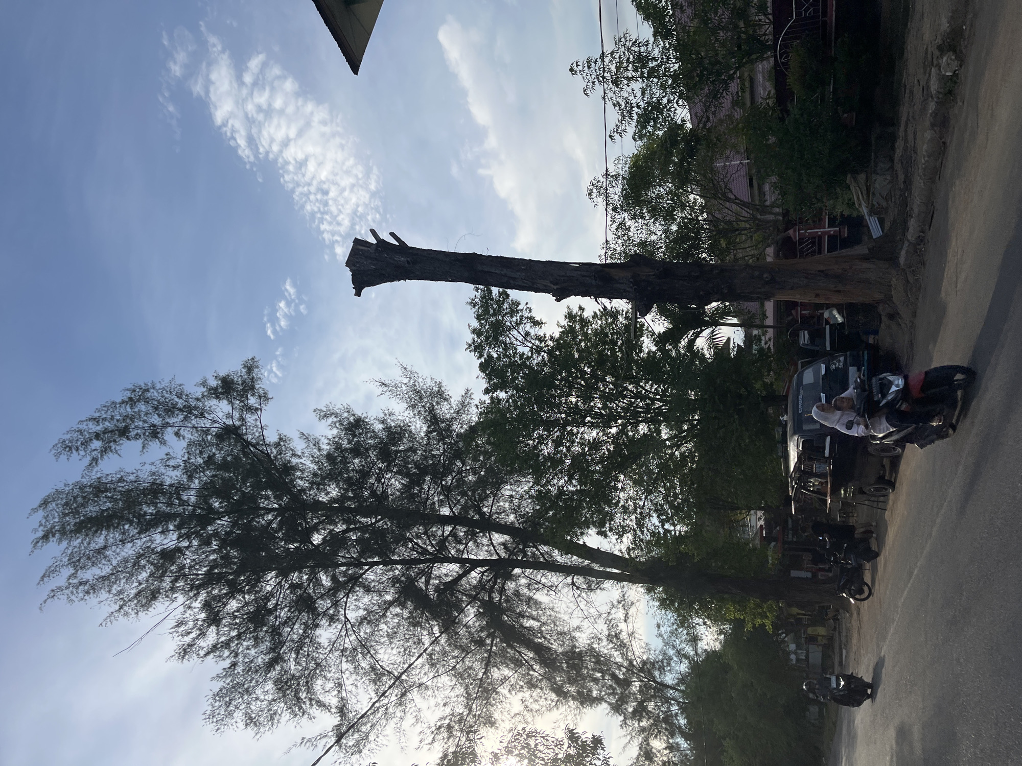 The image depicts a street scene in Langsa, Indonesia, likely during the day with a bright, partly cloudy sky. The foreground features a prominent, tall tree with fine, needle-like foliage casting dappled shadows. To the right, a roughly hewn tree trunk, possibly a dead or pruned tree, extends horizontally across the frame against the sky. The middle ground shows a road with several motorcycles parked and in motion. One motorcycle has two people on it, with a woman in a white hijab and a man driving. Another motorcycle is ridden by a person wearing a helmet, and another motorcycle is parked. A small vehicle, possibly a van or a food stall, is also visible. Behind the road, a building with a red roof and balconies is partially obscured by dense green trees. The overall scene suggests a casual, everyday moment on a street in an Indonesian town. The lighting indicates it is daytime, likely late afternoon due to the long shadows cast by the trees and the quality of the sunlight.