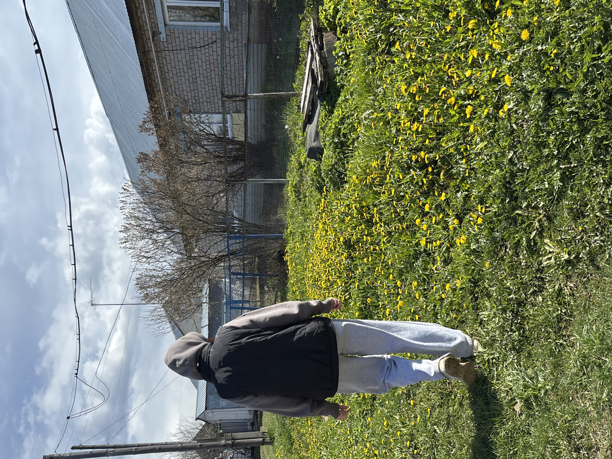 The image captures an outdoor scene, rotated 90 degrees clockwise from its natural orientation, depicting a person walking through a vibrant, dandelion-filled field. The setting appears to be rural or semi-rural.
In the foreground, a single individual is seen from behind, walking away from the camera. They are dressed casually in a grey hooded sweatshirt, a black sleeveless vest, light grey sweatpants, and light brown/tan shoes.
The ground is covered extensively with green grass and numerous bright yellow dandelions, suggesting spring or early summer. To the left, a building with light-colored brick walls and a grey corrugated metal roof is visible, along with a bare tree. Utility poles and dark power lines are present, stretching across the upper part of the frame. Towards the right, a overgrown fence or structure can be discerned.
The sky is partly cloudy, with areas of blue sky peeking through. The scene is brightly lit by natural sunlight, indicating daytime, likely late morning or early afternoon. No specific event beyond the person walking is observable, and no text is visible. The architecture and landscape are consistent with the provided location context of Foky, Russia.