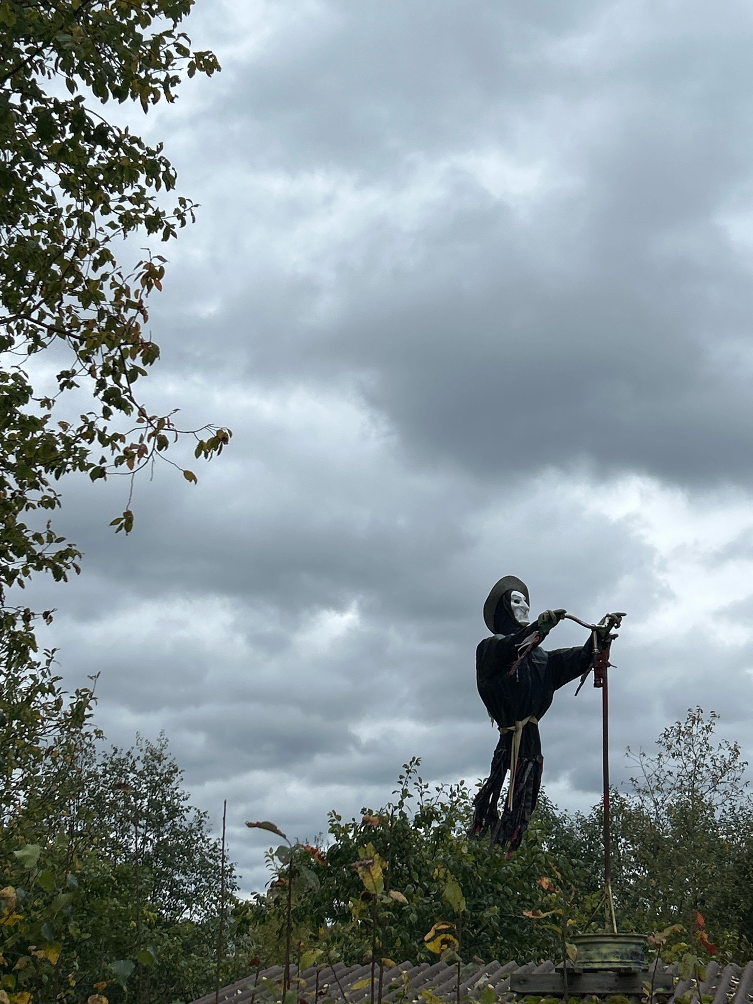 The image captures a Grim Reaper-like scarecrow standing against a cloudy sky. The scarecrow is dressed in a black hooded robe and wears a white mask. It is positioned amidst lush green foliage, with trees and branches framing the scene from the left and bottom. The scarecrow appears to be holding onto a red object, possibly part of its structure, and a black pole. The overall atmosphere is somber, with the overcast sky contributing to a muted color palette. The location is Boksitogorsk, Russia, as indicated.