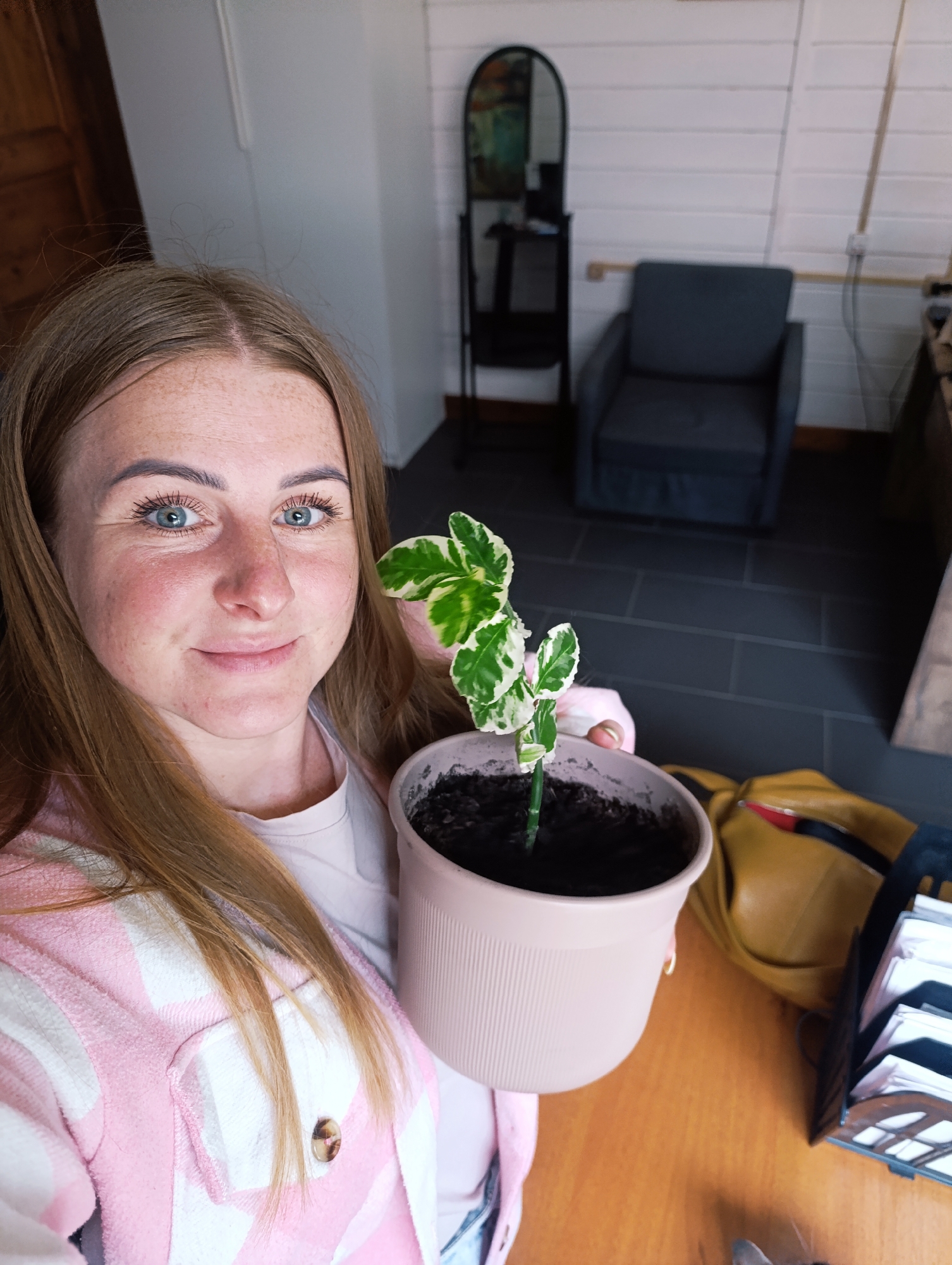 A fair-skinned woman with freckles and blue eyes is holding a potted plant with variegated leaves. She is wearing a pink and white plaid shirt over a white top. The pot is light pink.
Behind her, there is a room with a grey armchair, a black shelf with a mirror, and white walls with horizontal planks. The floor is covered with dark tiles.
The woman and the plant are positioned above a wooden desk or table, where a yellow bag and a black file organizer are placed.
The location appears to be indoors, possibly in a home or office setting. The city and state are unknown.