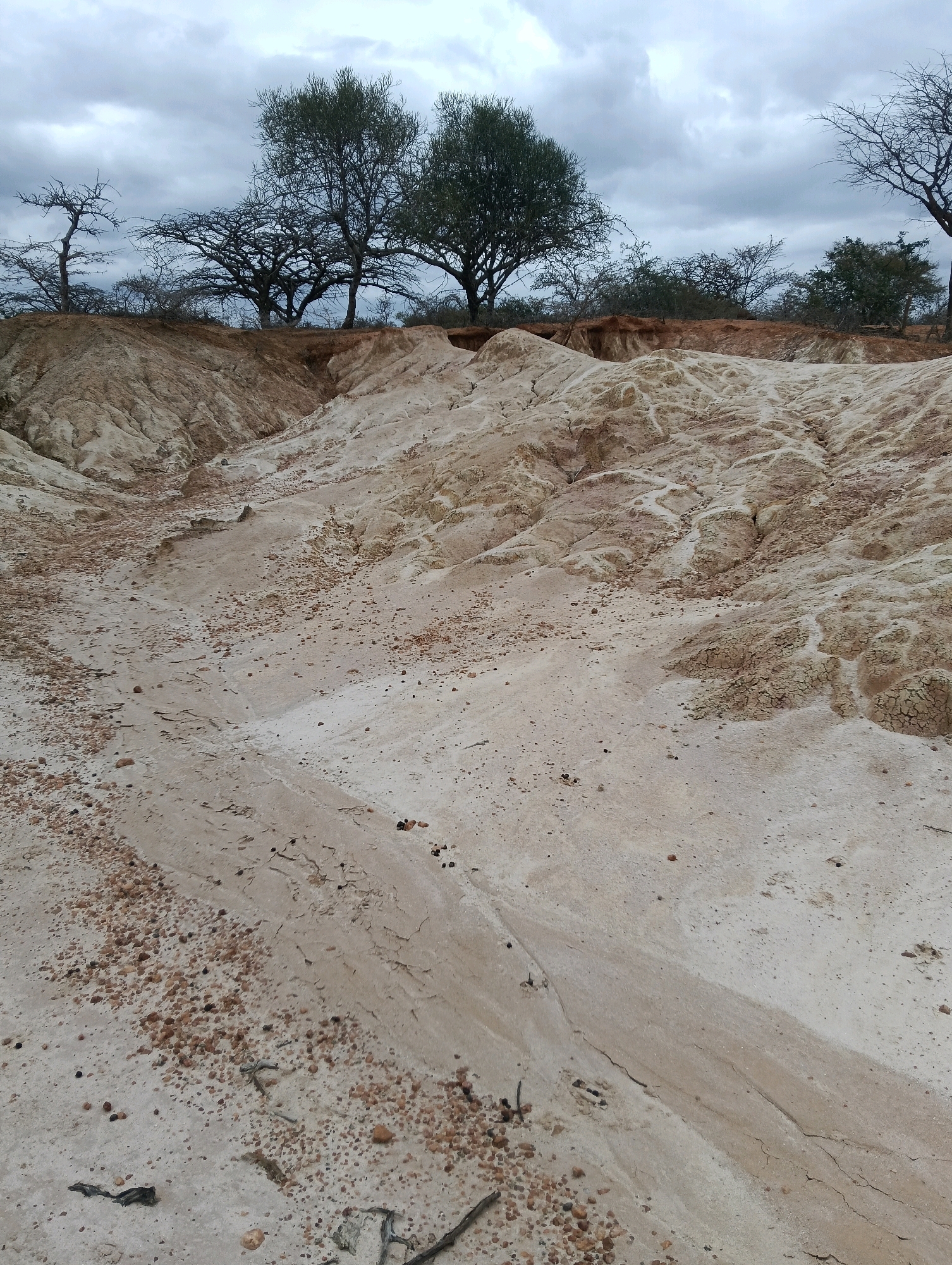 The image depicts a dry, eroded landscape with a riverbed or gully in the foreground. The terrain is characterized by sandy soil, with patches of clay and scattered pebbles and rocks. The sides of the gully show evidence of water erosion, with layered soil and some exposed roots. In the background, a line of acacia trees and other vegetation can be seen against a cloudy sky. The overall impression is one of arid or semi-arid conditions, typical of areas experiencing drought or land degradation. The location is identified as Mutitu/Kaliku Ward, Kenya, suggesting a rural or semi-rural setting within that region.