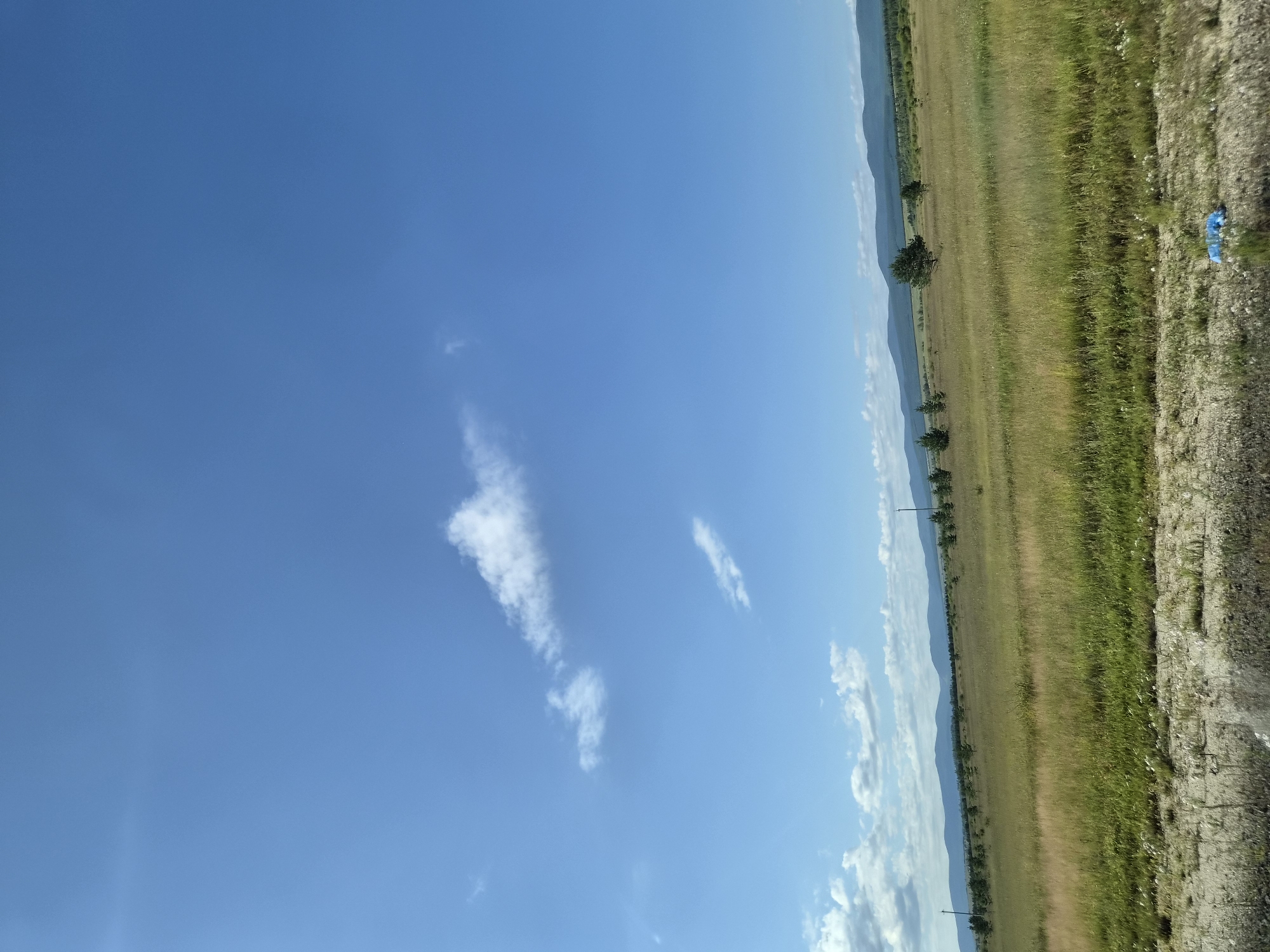 The image depicts a wide, flat, grassy field under a clear blue sky with a few wispy clouds. In the distance, rolling hills or mountains form a hazy horizon. Scattered throughout the field are small clusters of trees and what appear to be utility poles. The foreground shows a patch of dry, sparse vegetation and a small piece of blue plastic debris on the ground. The scene suggests a rural or undeveloped area.