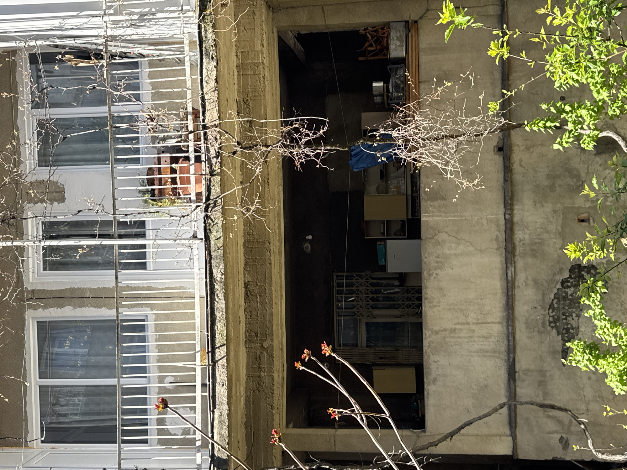 An eye-level medium shot captures the architectural details of buildings and a courtyard in Tbilisi, Georgia. The image is vertically oriented. The left side of the frame is dominated by a white building with windows protected by white metal bars. On the right is a gray concrete building with green leaves of a tree emerging on the right. Between the two buildings is a narrow courtyard containing various household objects, including furniture and a blue tarp. Branches of trees stretch across the frame, adding a natural element to the urban scene. The light suggests it is daytime, with the sun casting shadows and highlighting textures on the building surfaces.
