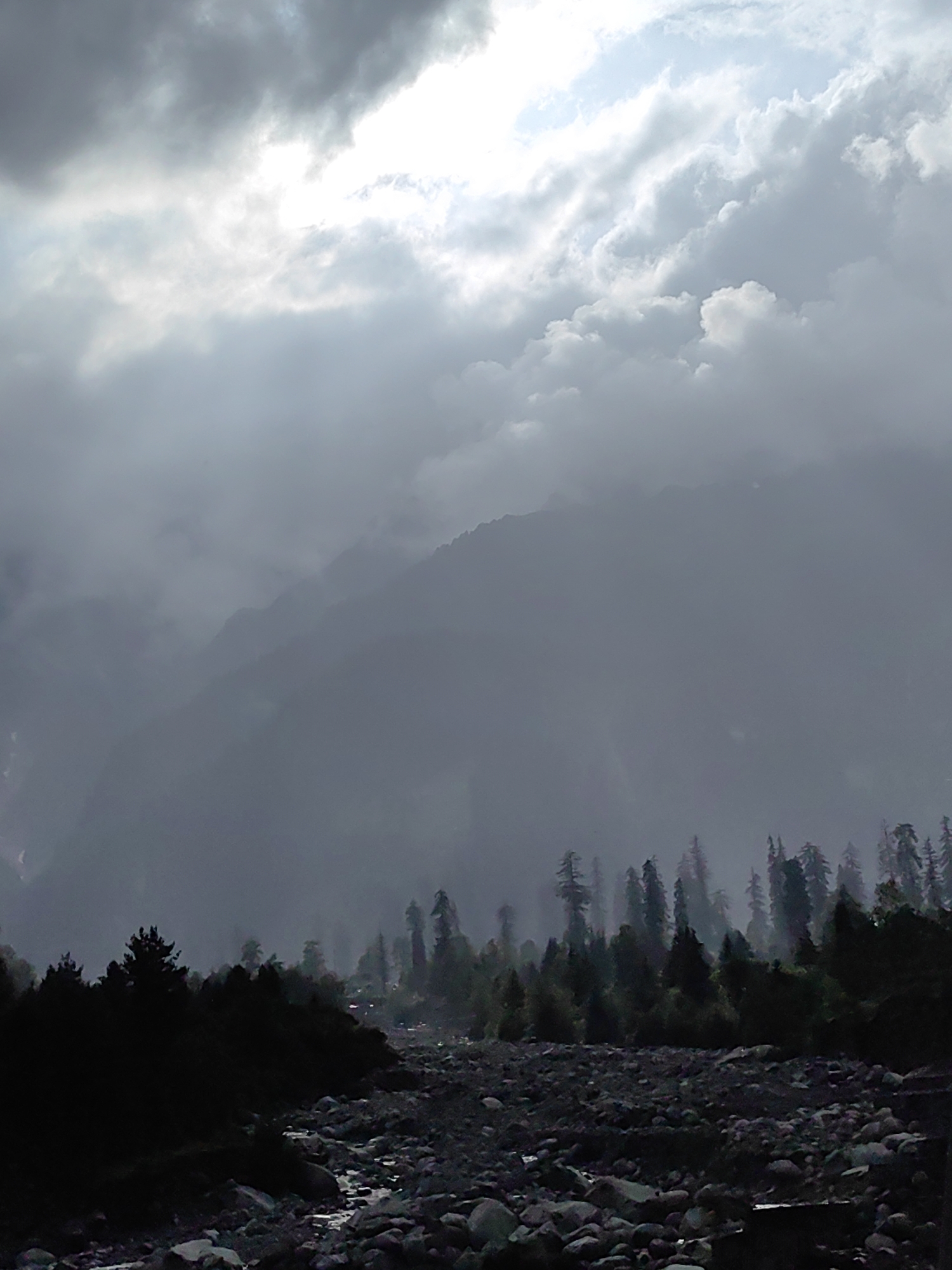 The image depicts a moody landscape under a cloudy sky, likely in Solang, India. The foreground is dominated by a rocky terrain, possibly a riverbed or a dry stream, filled with various sizes of grey and dark-colored stones. A narrow stream of water is visible winding through the rocks. Beyond the rocky area, a dense line of dark, silhouetted pine trees forms a forest edge. The trees are tall and conical, with their outlines softened by the misty atmosphere.
In the mid-ground, more trees and vegetation are visible, also appearing dark and somewhat indistinct due to the weather. Further in the distance, large, imposing mountains rise, their peaks and slopes heavily obscured by thick, grey fog and clouds, giving them a hazy, ethereal appearance. The sky above is a dramatic mix of dark, heavy storm clouds and patches of brighter, lighter clouds, with a strong, diffused light source suggesting the sun is attempting to break through. The overall impression is one of a remote, natural environment experiencing or about to experience inclement weather. There are no people or man-made structures clearly visible in the scene.