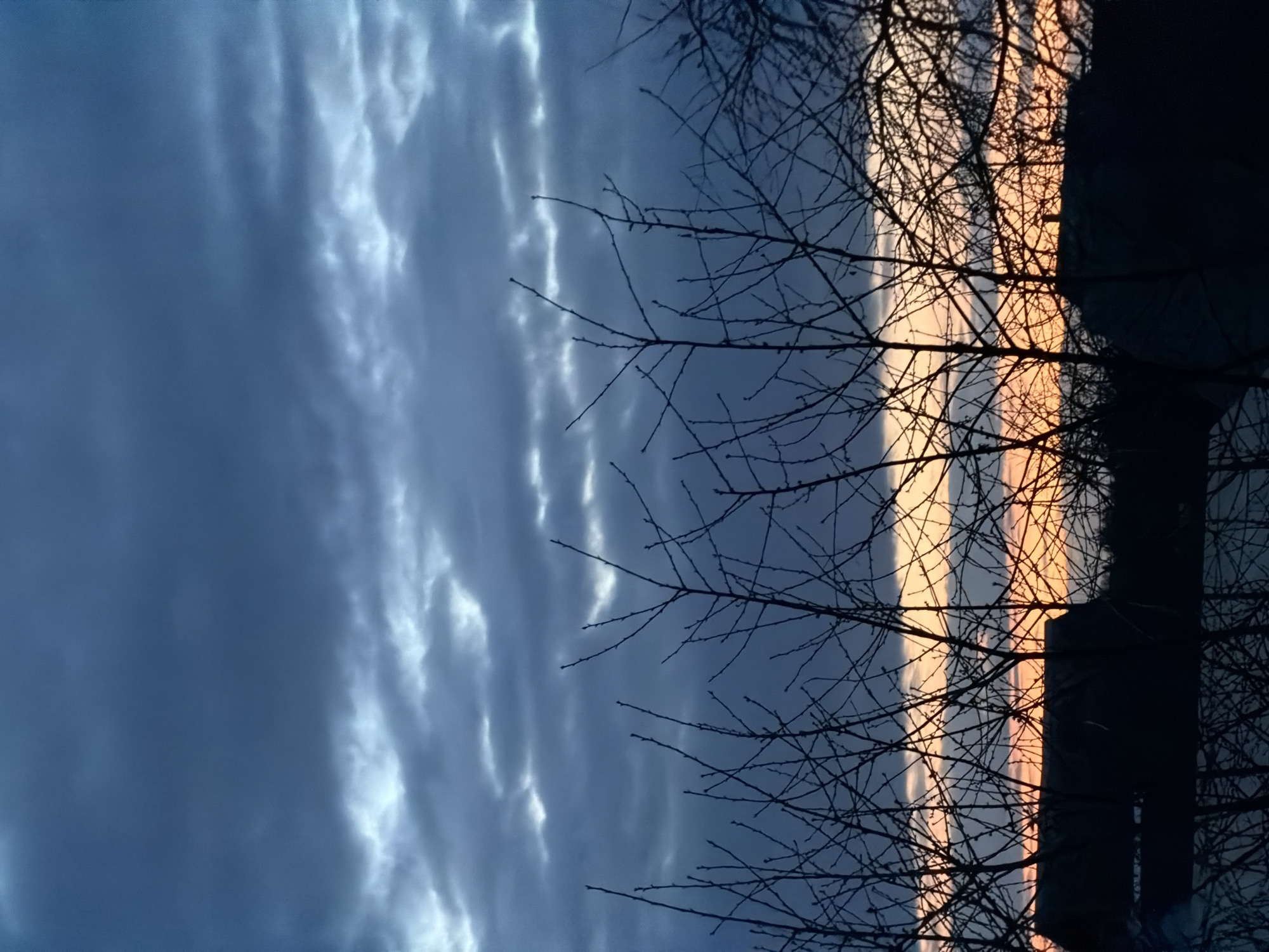 The image shows a view of the sky partially obscured by bare tree branches. The sky is predominantly overcast with striated clouds. A vertical band of orange light appears to the right, likely from the rising or setting sun. Silhouetted against this light are branches, some of which are very thin, and a dark mass that may be a tree trunk or building. There is no verifiable evidence of the location of Malinovka, Russia, within the image. There are no identifiable people or specific actions in the scene.