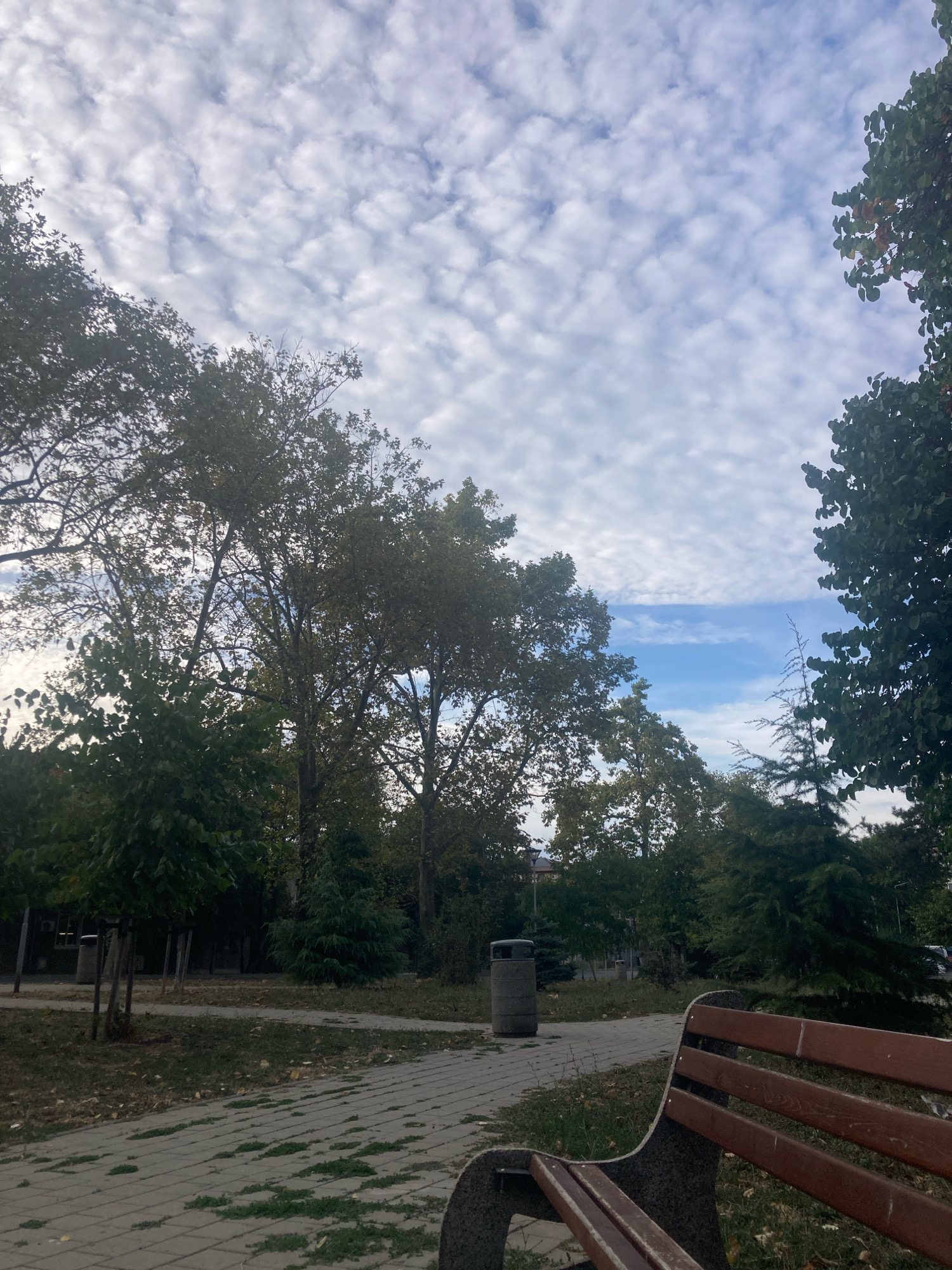 The image depicts a park scene in Burgas, Bulgaria, on an overcast day. In the foreground, the edge of a dark-colored park bench with wooden slats is visible. A paved pathway, made of grey interlocking bricks with patches of green grass growing through, extends into the middle ground. To the left of the pathway, a cylindrical grey trash receptacle stands beside a young tree with multiple stakes supporting its trunk. Further into the park, a variety of trees with green foliage create a dense canopy, with some appearing to be deciduous and others evergreen. The background reveals more trees and hints of buildings in the distance. The sky above is filled with scattered white, puffy clouds against a pale blue backdrop. The overall atmosphere is serene and typical of an outdoor public space.