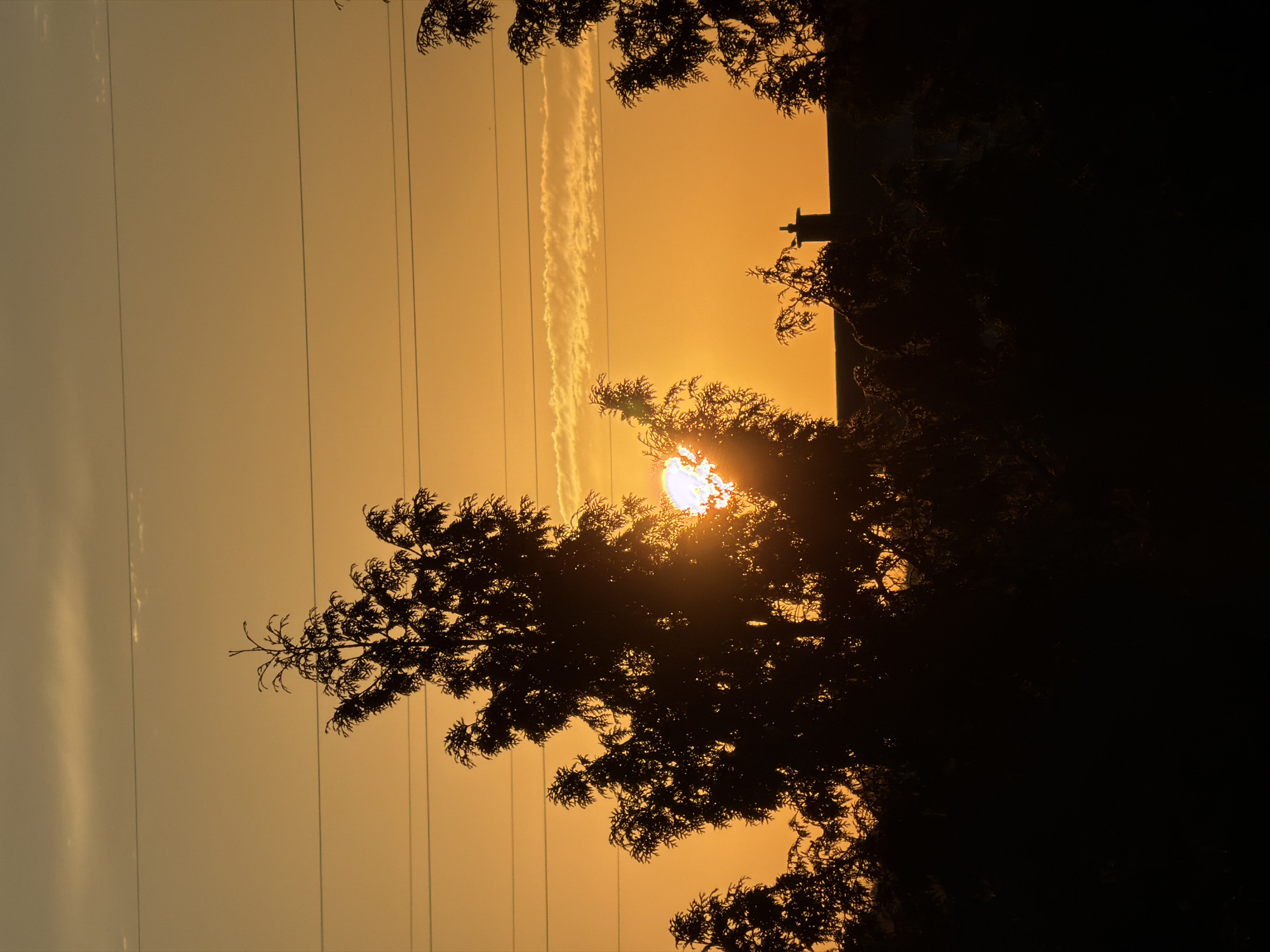 This is a photograph of a sunset in Esch-sur-Alzette, Luxembourg, taken from ground level, looking east. The sky is a vibrant orange, with a few wispy clouds visible near the horizon. Silhouetted against the sunset are the tops of several evergreen trees, their branches creating intricate patterns against the bright sky. In the middle ground, the roofline of a building with a chimney is visible, also in silhouette. Power lines stretch horizontally across the upper portion of the frame, with three distinct lines clearly discernible. The foreground is a dark mass of vegetation, also silhouetted, suggesting dense bushes or the lower parts of trees. The overall impression is one of a peaceful, natural landscape at dusk.