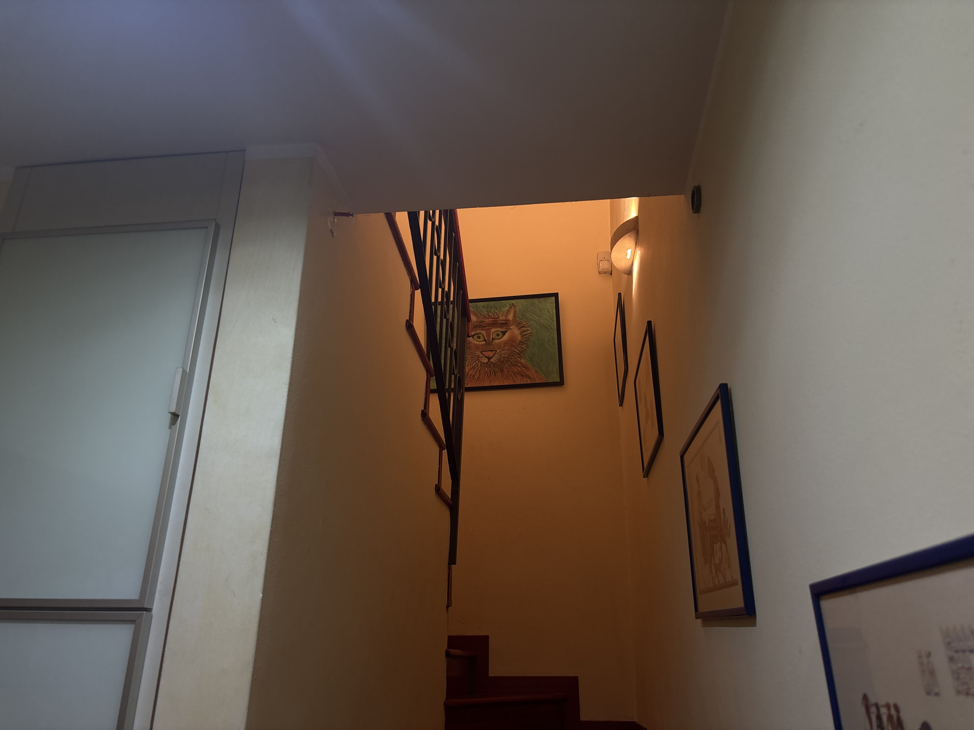 The image shows an interior stairway with walls painted in shades of off-white and cream. The stairs themselves are constructed from wood. A metal railing is visible on the left side of the staircase. The walls are decorated with framed artwork, including a prominent picture of a cat. A sconce with a light bulb is attached to the wall, casting a warm glow. The location is likely a residential building in Milan, Italy, given the architectural style and interior design. No people are visible in the scene.