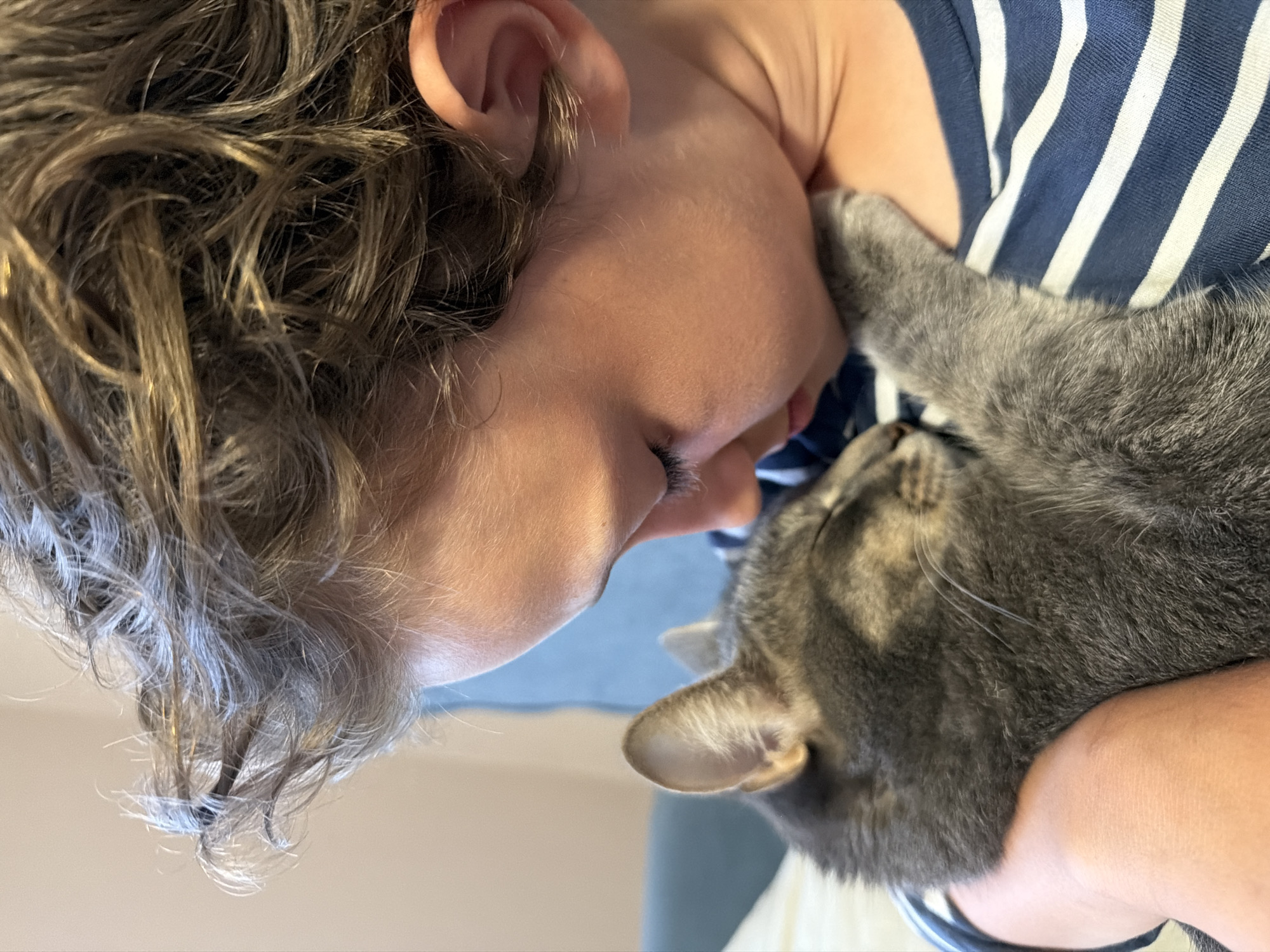 The image presents a close-up, intimate moment between a person and a gray domestic cat. The person's face is shown in profile, with their forehead gently pressed against the cat's head, appearing to share a tender sniff or nuzzle. They have light brown or blonde, wavy hair and wear a navy blue top with white horizontal stripes.
The cat, a gray short-haired breed with faint tabby markings on its head, is nestled closely against the person. Its eyes are either closed or mostly closed, suggesting a relaxed and comfortable state. One of the cat's paws is visible, resting softly on the person's shoulder or arm, further emphasizing the affectionate bond.
The scene conveys warmth, peace, and deep connection between the human and the animal. The lighting is soft and natural, highlighting the textures of the hair, skin, and fur. The background is out of focus and indistinct, indicating an indoor setting. There is no visible text in the image. The interaction suggests a quiet moment of companionship, likely during the daytime.