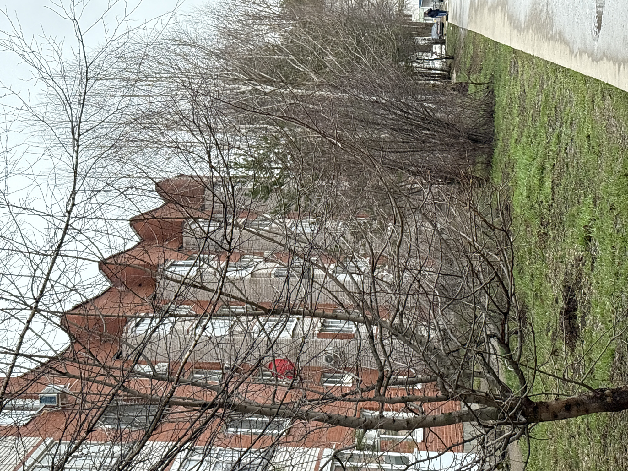 A street scene in Chaikovsky, Russia, shows a multi-story brick building obscured by bare trees. The building has a distinctive stepped roofline. To the right, a strip of green suggests a park or grassy area bordering a sidewalk. A few indistinct figures are seen in the distance along the sidewalk. The overall impression is of a drab, overcast day.