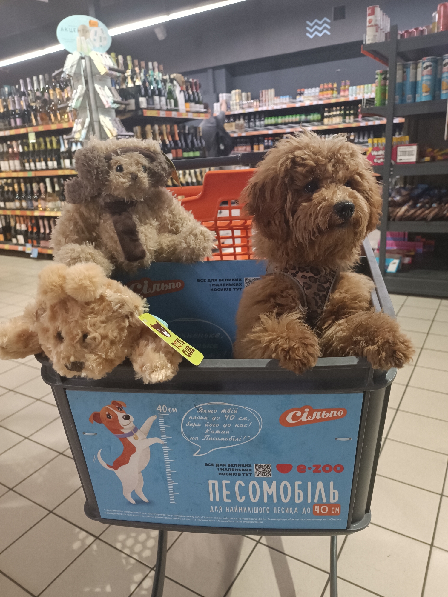 A toy poodle and two plush dog toys are sitting in a shopping cart in what appears to be a grocery store aisle. The toy poodle is wearing a leopard-print harness. The shopping cart has a blue panel on the side with writing and images of dogs, including a ruler measuring up to 40 cm. In the background, shelves stocked with wine bottles are visible. The lighting suggests an indoor environment, possibly a supermarket.