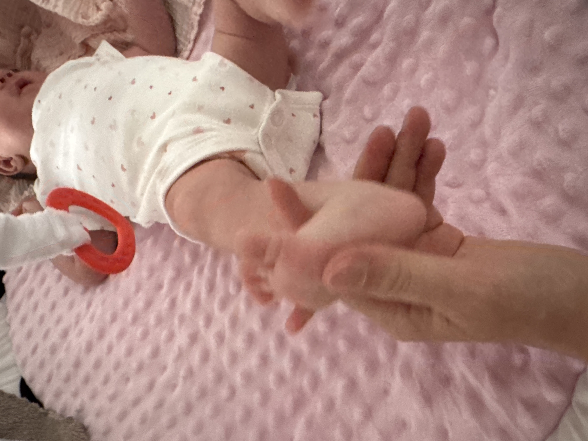 An intimate, close-up shot shows a baby lying on their back, being gently held by an adult's hand. The baby, likely an infant, is wearing a white onesie or bodysuit adorned with small, delicate red heart patterns. Only the upper part of the baby's face, specifically the left side of the forehead and eye area, is visible, suggesting they might be looking slightly upwards or to the side.
The adult's hand cradles the baby's tiny feet, creating a tender moment of connection. A bright red, plastic toy or teether is partially visible near the baby's left arm, suggesting a playful environment. The baby is resting on a soft, pink blanket or mat, which features a textured, raised dot pattern, commonly known as minky fabric. In the background, hints of other light-colored, ruffled textiles are visible, possibly blankets or clothing.
The scene conveys a feeling of warmth, care, and affection between the adult and the baby. The lighting appears soft, consistent with an indoor setting during daytime. The location context for this tender moment is Isola delle Femmine, Italy. There is no visible text in the image.