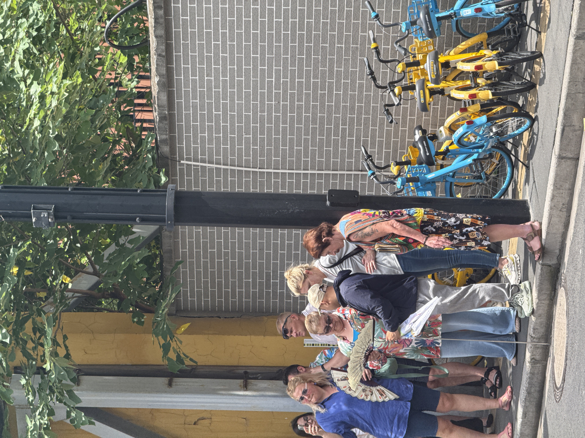 An outdoor scene in Jing'an District, China, captures a group of approximately eight adults standing on a sidewalk, seemingly waiting in line. The individuals are dressed in casual summer clothing, including t-shirts, shorts, and jeans, suggesting warm weather. One person in the foreground holds a white fan, further indicating the warm conditions.
Behind the group, an array of shared bicycles in bright blue and yellow are neatly parked against a grey brick wall with white mortar lines. These bikes, characteristic of Chinese bike-sharing services like Mobike and HelloBike, serve as a distinct geographical marker. Lush green foliage from trees and bushes frames the left side of the scene, while a prominent black utility pole stands in the mid-ground.
The ground surface shows paving, with a curb and a circular manhole cover partially visible on the right. The strong, clear lighting indicates it is daytime, likely late morning or afternoon. The people in the group appear calm and relaxed, possibly queueing for an attraction or public transport. Visible text includes Chinese characters on the hubs of the yellow bicycles, and the words "THE ANCHOR" are printed on a person's skirt in the foreground.