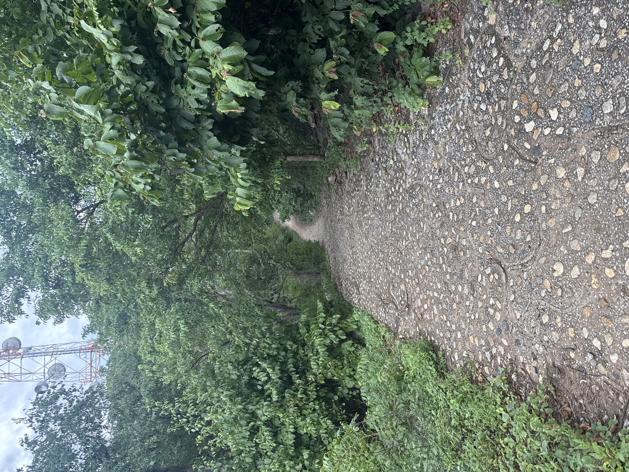 An unpaved, winding pathway composed of gravel and embedded rocks leads through dense green foliage. The path is flanked by lush trees and vegetation on both sides. In the background, partially obscured by trees, stands a tall, red and white lattice telecommunications tower. The sky above is overcast with clouds. The scene appears to be a natural outdoor environment within or on the outskirts of Hua Hin City Municipality, Thailand, possibly a hiking trail or service access road.