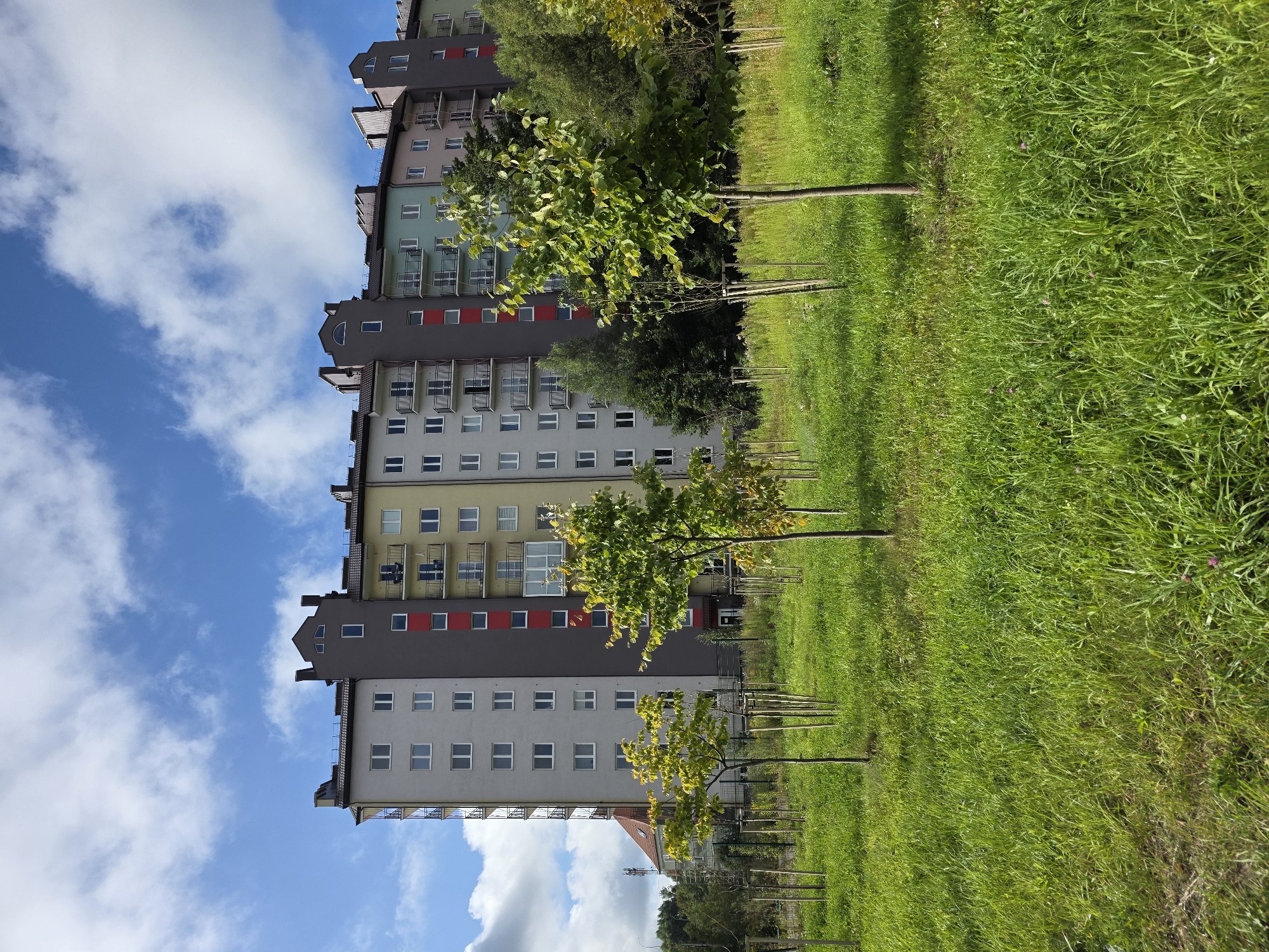 In Kaliningrad, Russia, a residential building with a colorful facade of gray, yellow, green, and pink is situated behind a grassy field dotted with young trees. The building features numerous windows and balconies, and its roofline is accented with gabled structures. The sky above is a bright blue with scattered white clouds. The foreground is dominated by lush green grass and a series of saplings, each supported by stakes, suggesting a newly developed or maintained green space. The overall impression is one of modern urban development integrated with nature.