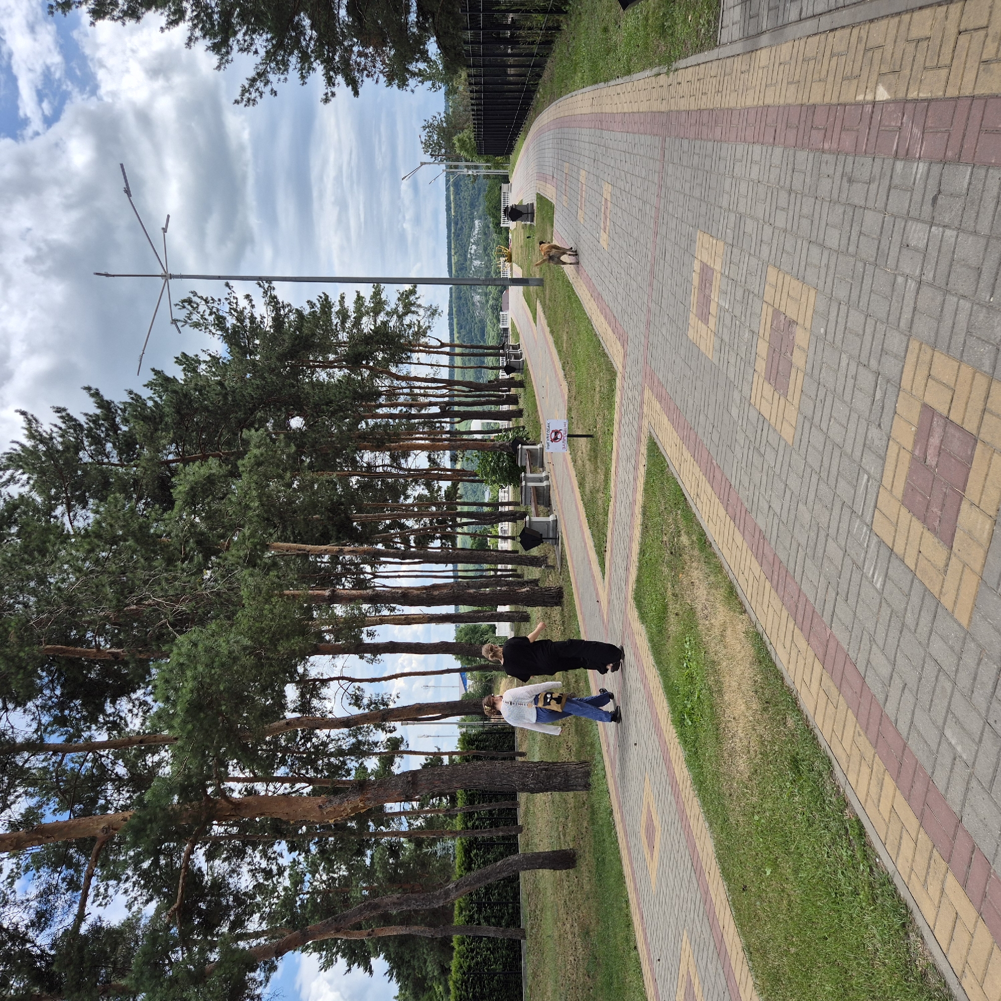 The image shows a paved walkway in a park with tall pine trees lining one side. Two women are walking away from the camera on the walkway. One woman is wearing a white sweater and blue jeans, and the other is wearing a black outfit. A dog is also walking on the walkway ahead of the women. In the background, there is a black fence, and beyond that, a lush green landscape with rolling hills. The sky is cloudy. This scene is consistent with a public park in the city of Liski, Russia, specifically likely the embankment of the river Chir, a popular recreational area.