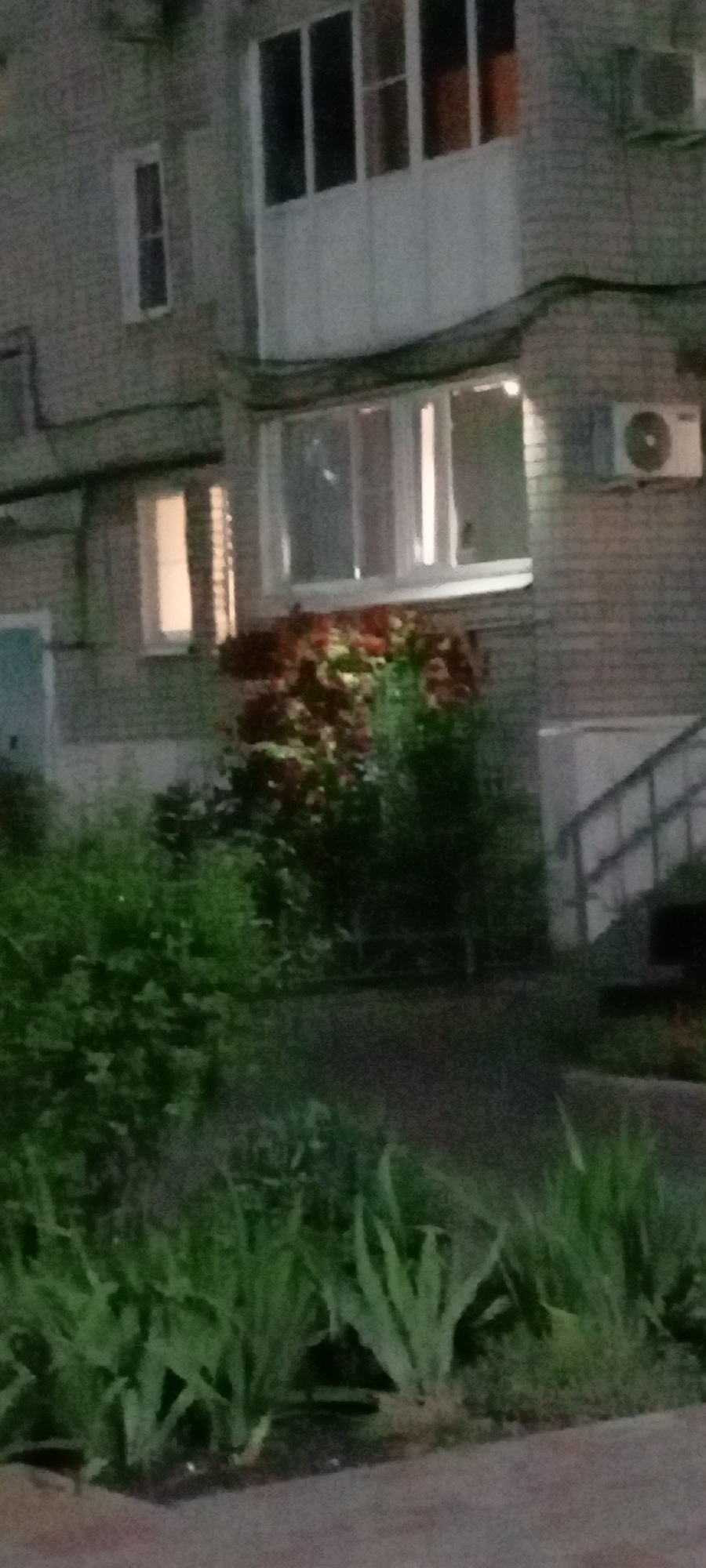 The image depicts the exterior of a multi-story brick building at night. The building has multiple windows, some of which are illuminated from within. There is a balcony with white siding and several windows on the upper floors. In front of the building, there are several large bushes with dark foliage, and in the foreground, there are green plants and grass. A metal railing and stairs are visible on the right side of the image. An air conditioning unit is mounted on the brick wall to the right of a large window. The overall scene suggests a residential building in an urban setting, likely Kirsanov, Russia, given the context provided.