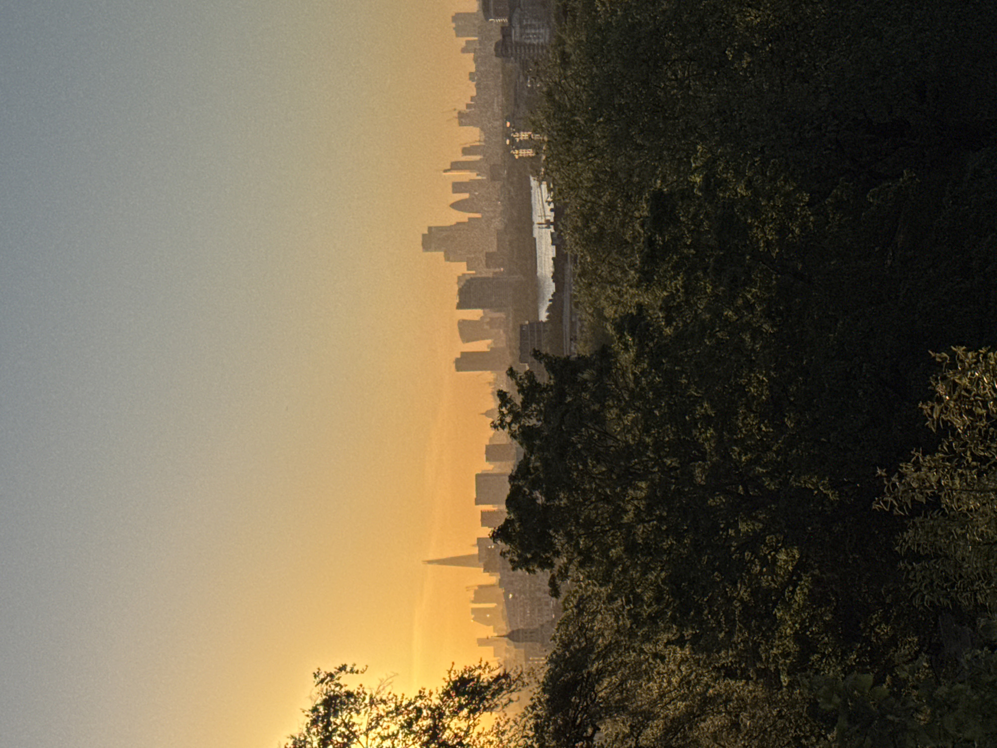 The image displays a panoramic view of a city skyline, partially framed by trees, bathed in the warm light of either sunrise or sunset. The original photo is rotated 90 degrees clockwise; when viewed upright, the sky occupies the top portion, transitioning from a soft grey-blue at the top to a rich golden-orange near the horizon on the left.
The dense foliage of dark green trees fills the right side of the frame, their leaves catching subtle highlights from the low-angle sun. Their presence suggests the viewpoint is from a park or an elevated natural area. To the left, a sprawling city skyline emerges from the atmospheric haze, with numerous buildings of varying heights silhouetted against the bright sky. A prominent body of water, likely a river, is visible winding through the urban landscape, reflecting some of the ambient light.
No people or visible text are present. The scene evokes a tranquil yet grand sense of a city waking up or winding down, characteristic of the "golden hour." Given the location context, this is a view of London, United Kingdom. The hazy, soft light and silhouetted forms contribute to a serene and atmospheric depiction of the urban environment.