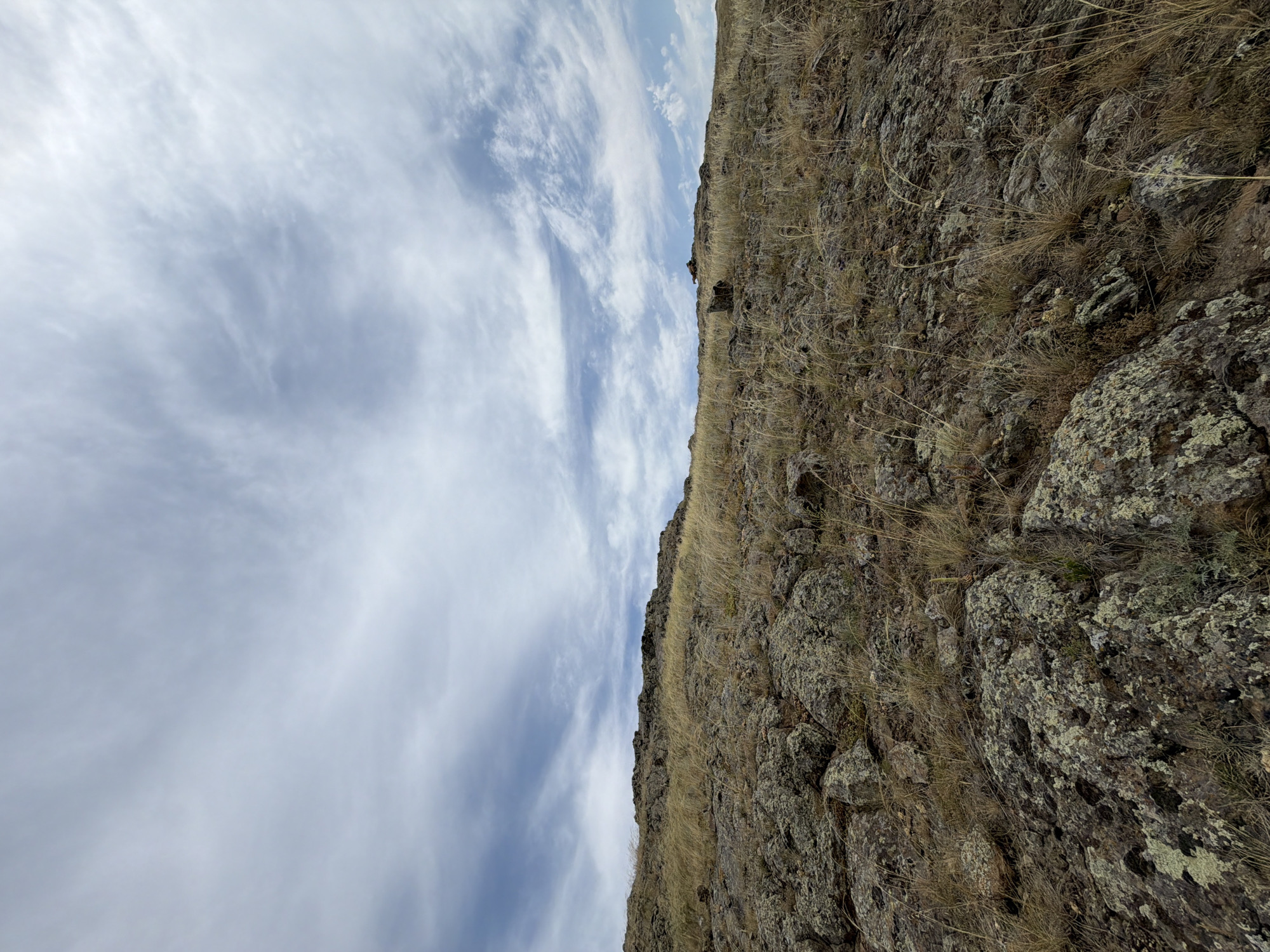 The image captures a rugged, rocky hillside sparsely covered with dry, golden grass under a cloudy sky. The terrain is uneven and textured, with numerous large and small rocks scattered across the slope. The sky is dominated by wispy, elongated clouds that stretch across a pale blue expanse. In the distance, the crest of the hill is visible, marked by more rocks and vegetation. The overall impression is of a natural, undeveloped landscape. The scene is devoid of any people or man-made structures, emphasizing the raw, untamed environment.