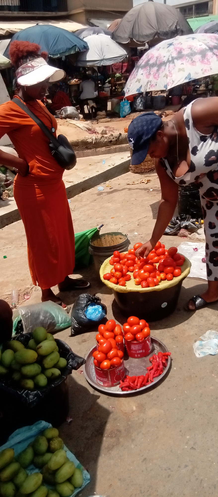 The image depicts a bustling outdoor market scene, likely in Onitsha, Nigeria, under bright daylight conditions, evidenced by strong shadows. Numerous large market umbrellas in various colors (blue, grey, white with a floral pattern) provide shade over various stalls and goods.
In the foreground, two women are prominent. On the left, a woman with reddish-brown curly hair wears an orange long dress, a white patterned visor, and a dark cross-body bag slung over her shoulder. She stands with her hand on her hip, looking towards the right. To her right, another woman, dressed in a white and black leopard print sleeveless top, matching pants, and a blue baseball cap, is actively selecting bright red tomatoes from a large yellow basin.
Around these women, a variety of produce is displayed for sale. The large basin holds a substantial quantity of red tomatoes, and two smaller, repurposed red cans also contain tomatoes, placed on a silver tray alongside a pile of red chili peppers. Further left and lower, large quantities of green mangoes are visible in black and blue containers/bags. The ground beneath the market area is a mix of dirt and concrete, with some scattered debris and plastic bags.
In the background, numerous market stalls are visible under the umbrellas, with other people partially obscured, indicating a busy marketplace. On one of the red tomato cans, the text "2200 g" and part of the word "FRESH" are visible. The overall scene conveys the lively atmosphere of a traditional outdoor market.