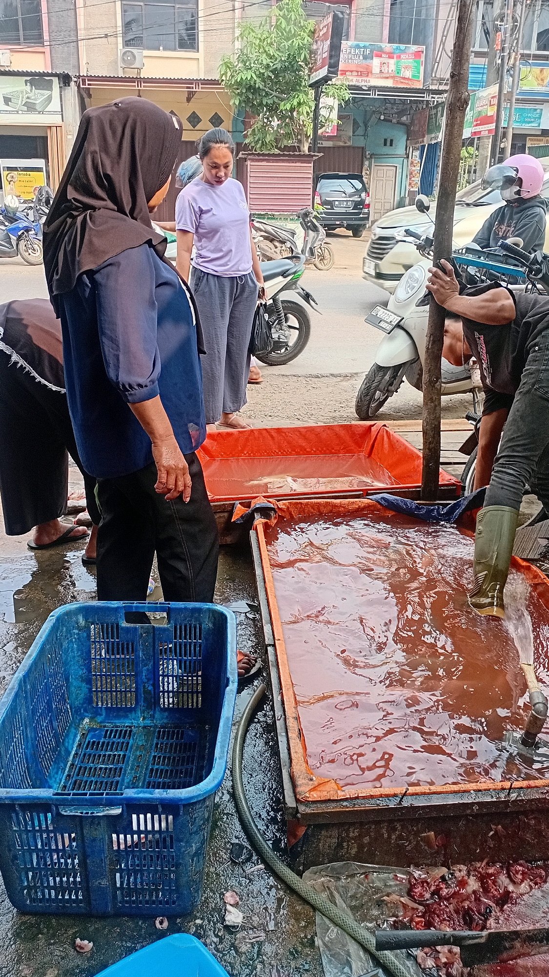 In the city of Kasang Pudak, Indonesia, on what appears to be a street, a group of individuals is engaged in a fish-cleaning operation. The scene is set outdoors, with buildings and parked vehicles visible in the background, suggesting an urban or semi-urban environment. The ground is wet and appears to be a mixture of concrete and possibly dirt, with some debris scattered around.
In the foreground, there are two large, orange tarpaulin-lined containers filled with water, likely used for washing fish. To the left, a blue plastic crate is placed on the wet ground, empty.
Several people are present. One individual, wearing a black hijab and a dark blue top, is partially visible from the back, suggesting they are involved in the process. Another person, a woman in a light purple t-shirt and grey pants, is standing and looking down. To the right, a person wearing green rubber boots is standing in one of the water-filled containers, actively participating in the cleaning. Other individuals are partially visible, engaged in similar tasks or observing.
The overall atmosphere suggests a marketplace or a commercial activity related to fish processing. The presence of water, containers, and the focus on cleaning point to a practical, hands-on operation. The environment is likely bustling, given the street setting and the presence of motorcycles and cars in the background.