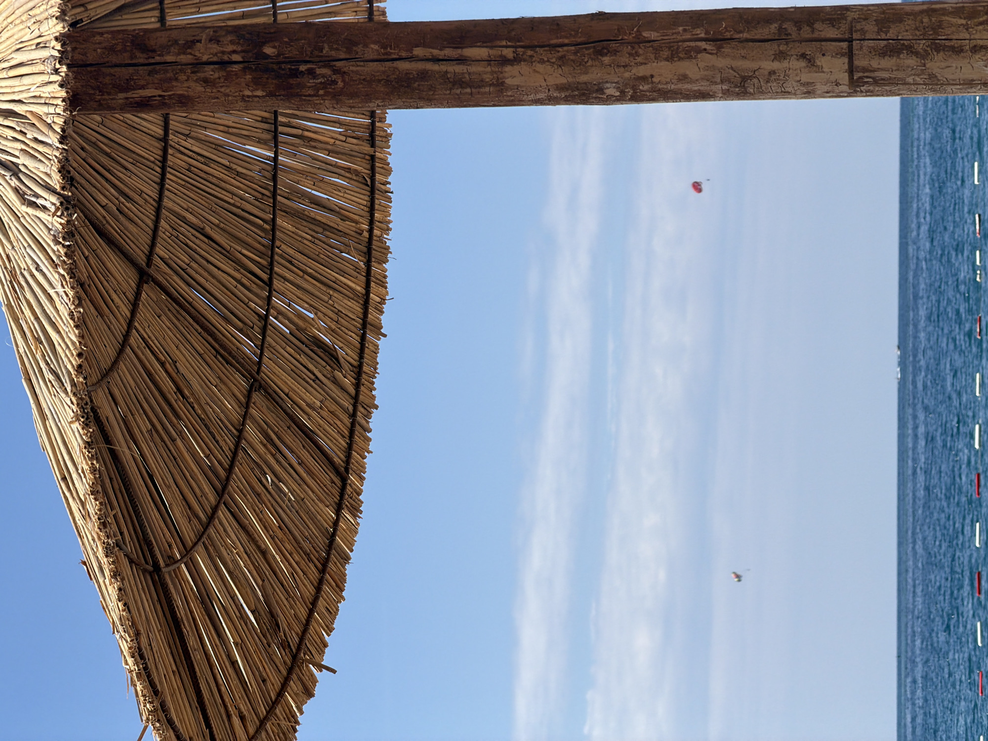 The image depicts a bright, sunny daytime scene at a beach, likely in Budva, Montenegro, as viewed from under a beach umbrella. The left and top portions of the frame are dominated by the underside of a large, circular thatch umbrella, constructed from tightly bound dried reeds or grasses. A sturdy, weathered wooden beam, showing its natural grain and some imperfections, runs across the upper part of the image, appearing to be part of the umbrella's support structure or an overhead frame.
Beyond the umbrella and beam, a clear blue sky fills the middle ground, with a few delicate, wispy white clouds streaking across it. Two parasailers are visible in the sky, engaged in an aerial activity over the water. The more prominent parasailer, located towards the upper right, features a bright red parachute with a visible person suspended below. A second, smaller parasailer can be seen further in the distance.
The right side of the image reveals the calm, deep blue sea, extending towards the horizon. A line of distinct red and white buoys or markers floats on the water's surface, likely designating a swimming area or a boundary for water activities. The overall lighting suggests it is late morning or early afternoon on a clear, warm day. There is no visible text in the media.