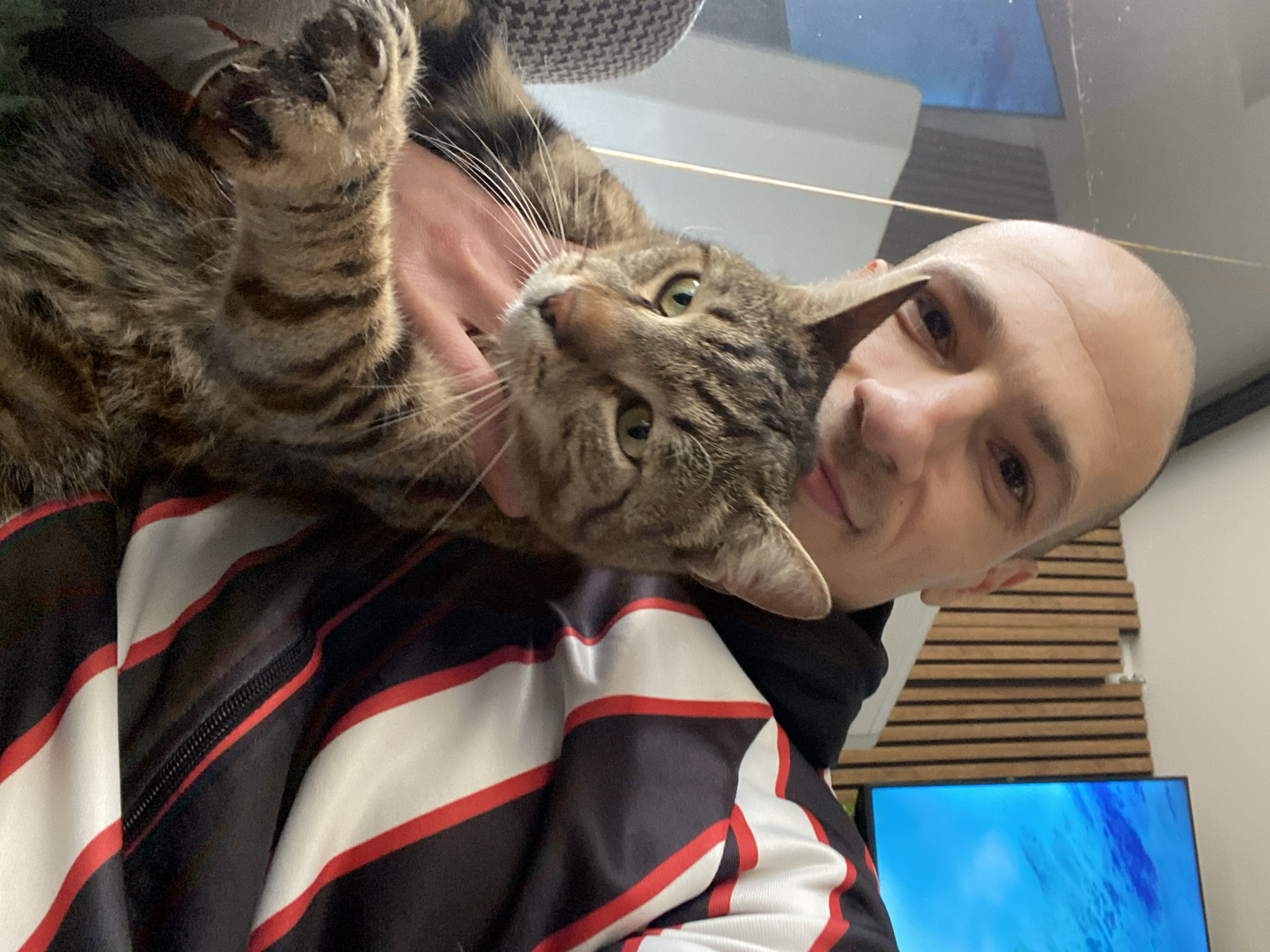 A man with a bald head holds a brown tabby cat close to his shoulder. The cat's paw is visible near the man's neck. The man is wearing a black, white, and red striped jacket. A blue television screen is partially visible in the background. The location is unknown; the city of Pleven, Bulgaria, cannot be verified from this image.