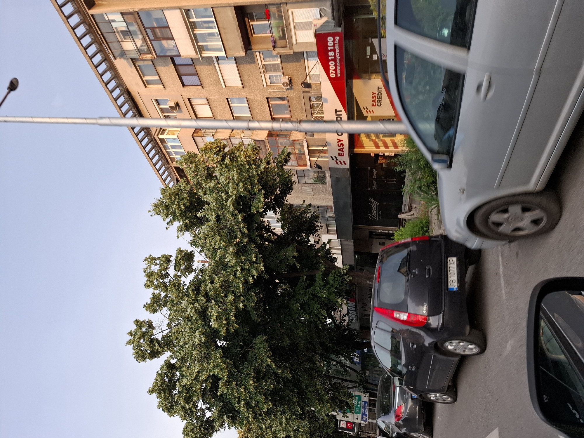 The image depicts a street scene in a city, likely during the daytime with the sun low in the sky, casting a warm light. In the foreground, the side mirror of a vehicle is visible. Several cars are on the road, with a silver car in motion to the right, and a dark grey hatchback with license plate PB 1077 KP in the center lane, appearing to be stopped or moving slowly. Further back, another dark grey car is seen. The background features a multi-story building with an apartment complex or offices. A large tree with lush green foliage is prominent on the left side of the image, partially obscuring the building. Signs visible on the building include "EASY CREDIT" with a phone number "0700 18 100" and a website "www.easycredit.bg". There are also street signs indicating directions to "SOFIA" and "SMOLYAN". A lamppost stands tall on the right side of the image. The sky is clear blue with a slight haze. The overall impression is a typical urban environment with traffic and commercial establishments.