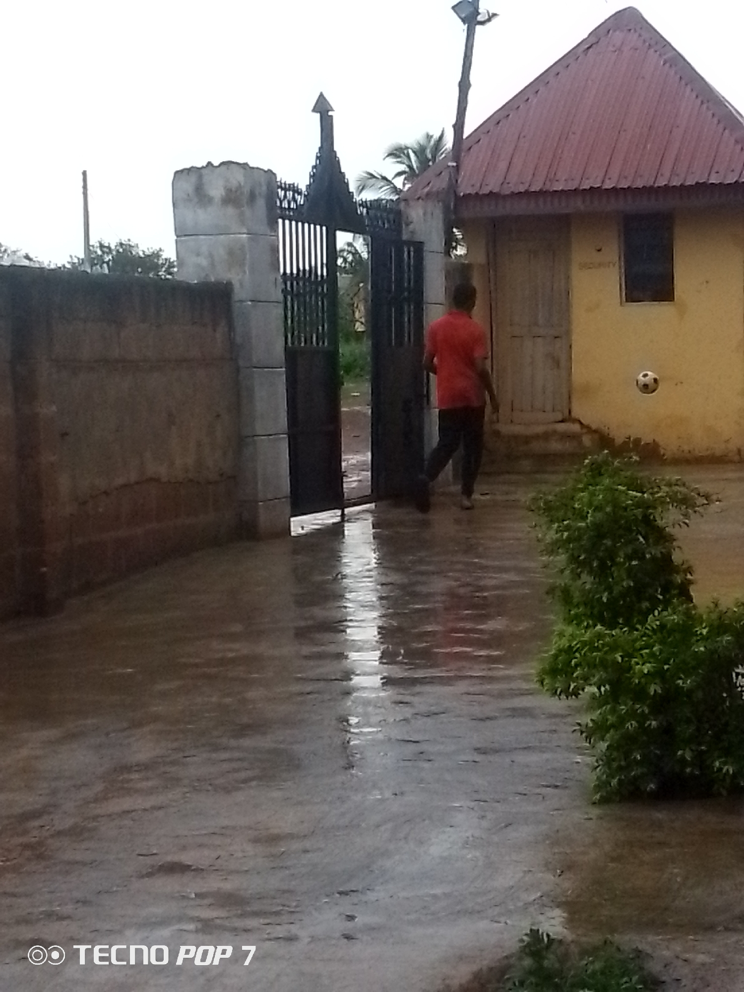 In an outdoor scene with a wet, reflective ground, a young man wearing a red t-shirt and dark pants walks away from the camera, heading towards an open gate. To the right of the gate is a yellow building with a red corrugated metal roof and a white door. A small, black and white ball is visible in mid-air to the right of the building. A thick, green bush is situated in the foreground to the right. A concrete wall runs along the left side of the image, and a tall, dark metal gate with decorative spikes at the top is visible. The sky is overcast.