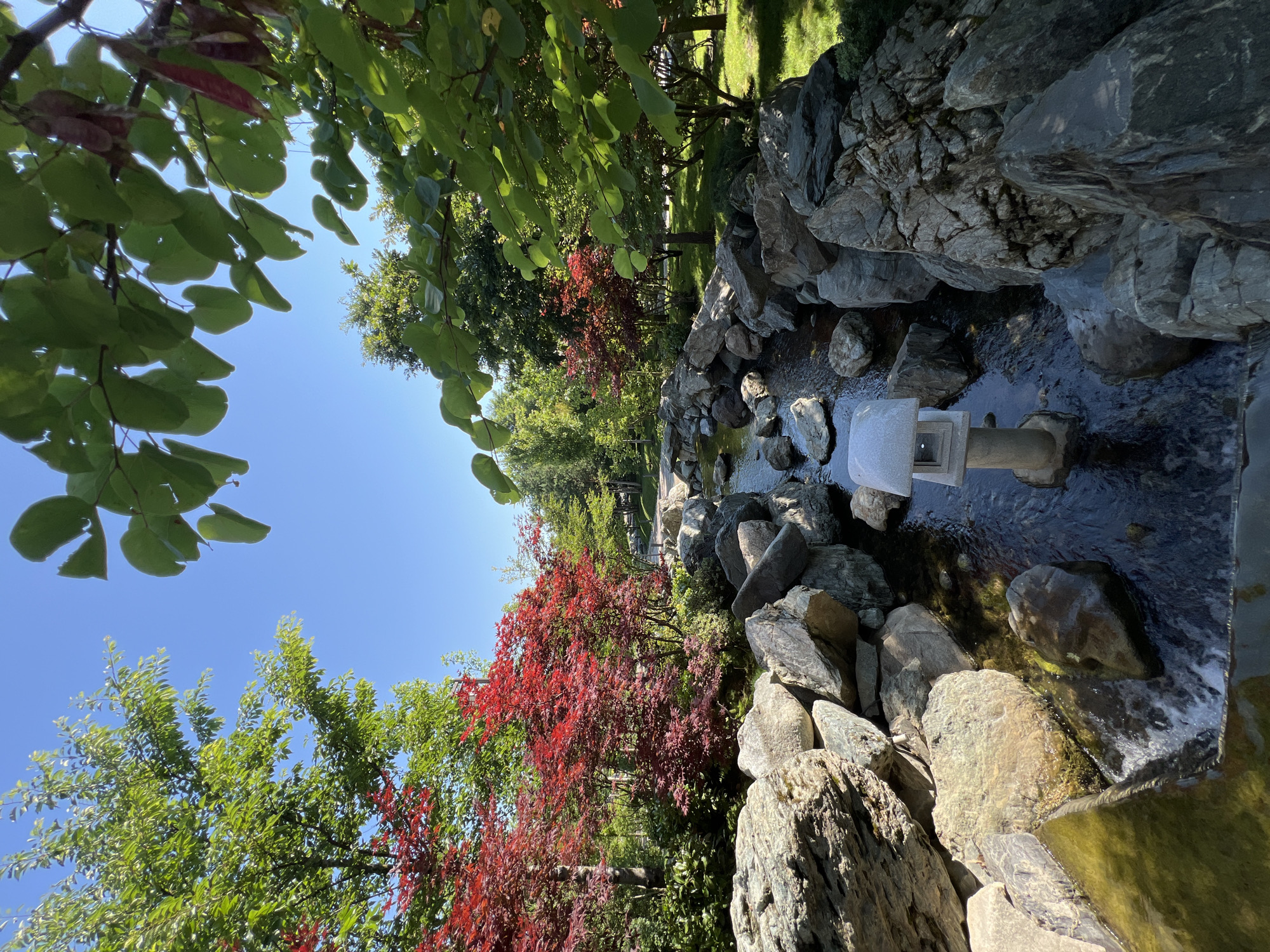 The image depicts a serene Japanese garden with a narrow stream flowing through it. The stream is flanked by numerous large, grey, and brown rocks, creating a naturalistic landscape. In the center of the stream, a traditional stone lantern stands, partially submerged in the flowing water. Lush green trees with vibrant red foliage are visible on either side of the stream, adding a striking contrast to the scene. The sky above is a clear, bright blue. The overall impression is one of tranquility and natural beauty. This specific scene is located in the Dendrarium Botanical Garden in Krasnodar, Russia.