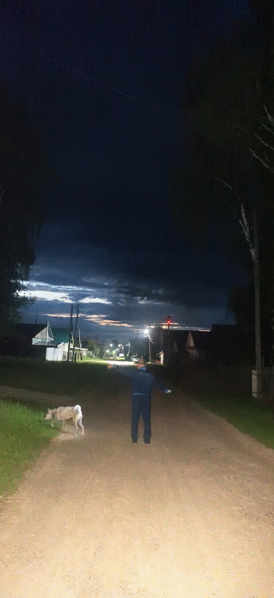 A person in dark blue overalls and a hat is walking a light-colored dog on a leash down a dirt road at dusk. The person is facing away from the camera and gesturing with their right arm extended to the right. The dog is to the left of the person, sniffing the grass on the side of the road. In the background, there are several rural-style houses, some with lights on, and trees. The sky is dark with some clouds visible. This scene appears to be in a village setting, possibly in Фоки, Russia, given the architecture and landscape.