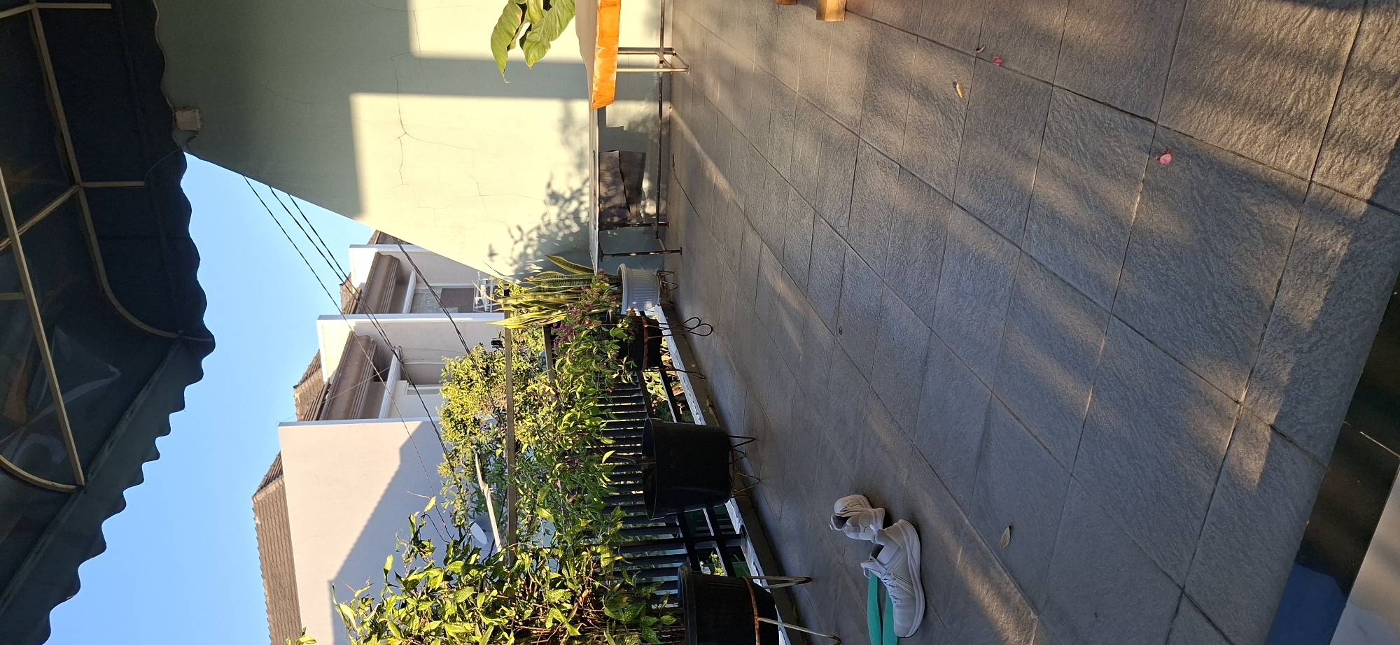 The image depicts an outdoor balcony area in Surabaya, Indonesia, bathed in the warm light of the late afternoon sun. The balcony floor is tiled with large, grey square tiles. To the left, a black railing runs along the edge of the balcony, behind which are several potted plants. The plants vary in size and type, with some featuring lush green foliage.
In the foreground of the balcony, a pair of white athletic shoes are placed on the tiled floor. A light green jump rope lies on the ground next to them. Further down the balcony, a simple metal table stands with a dark cloth draped over it. To the right, a table with an orange-topped surface is visible. The wall behind the tables is a light green color and shows some signs of age with visible cracks.
In the background, beyond the railing, there are residential buildings with white walls and brown tiled roofs, characteristic of the architecture in Surabaya. Electrical wires crisscross the sky. The sky is a clear blue, indicating fair weather. Sunlight casts long shadows across the balcony floor, creating a pattern of light and shade.