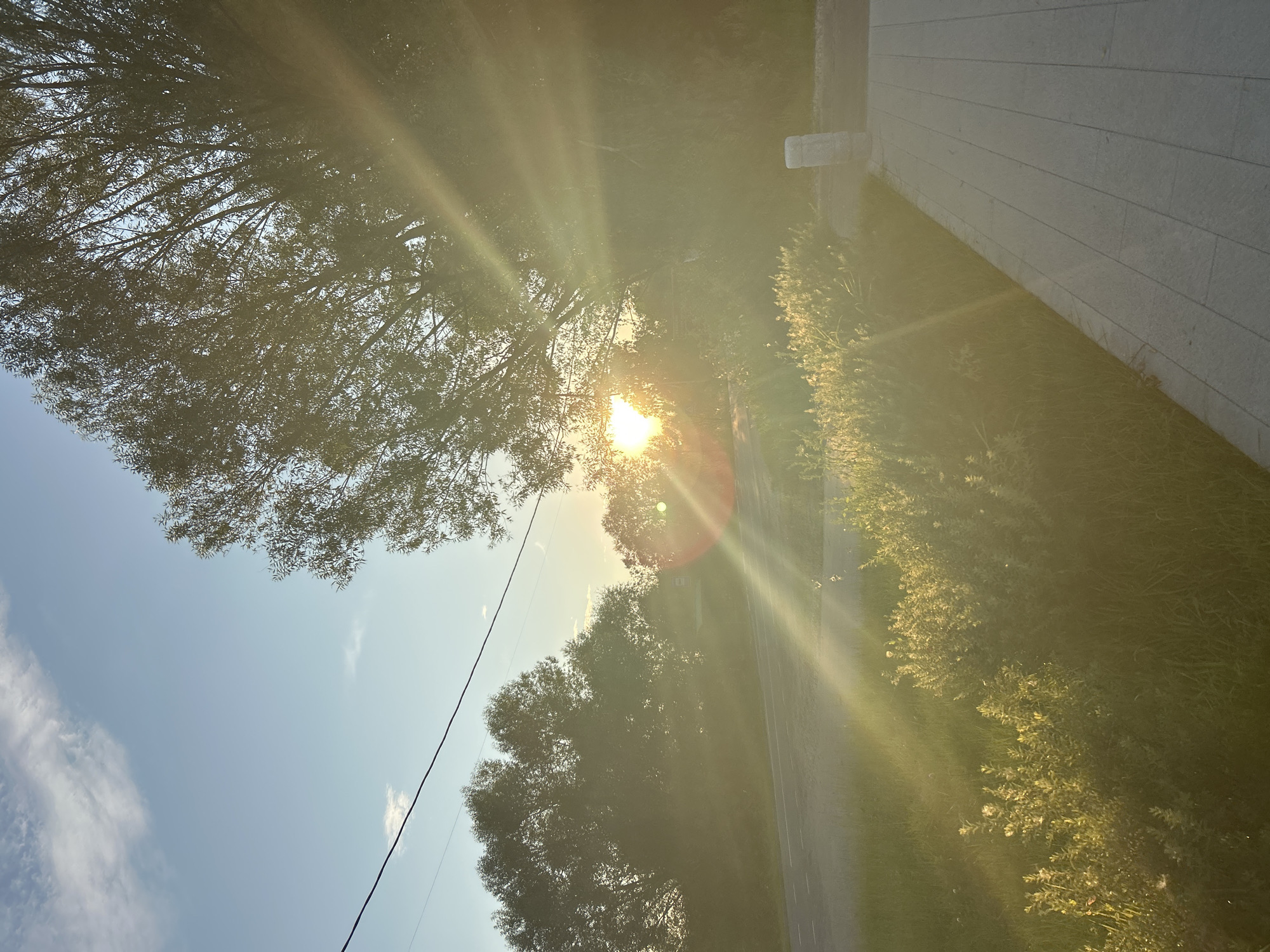 The image depicts a sunlit outdoor scene with a strong lens flare originating from the setting sun. The sun is partially obscured by the branches of a large tree on the right side of the frame, casting bright rays across the image. In the foreground, there is a paved pathway on the right, bordered by grass and low-lying green shrubs. A road runs horizontally across the middle ground, with trees lining the opposite side. The sky above is a clear blue with some wispy clouds. A power line stretches across the upper portion of the image. The location is specified as Kalitsino, Russia. No people or specific actions are visible.
