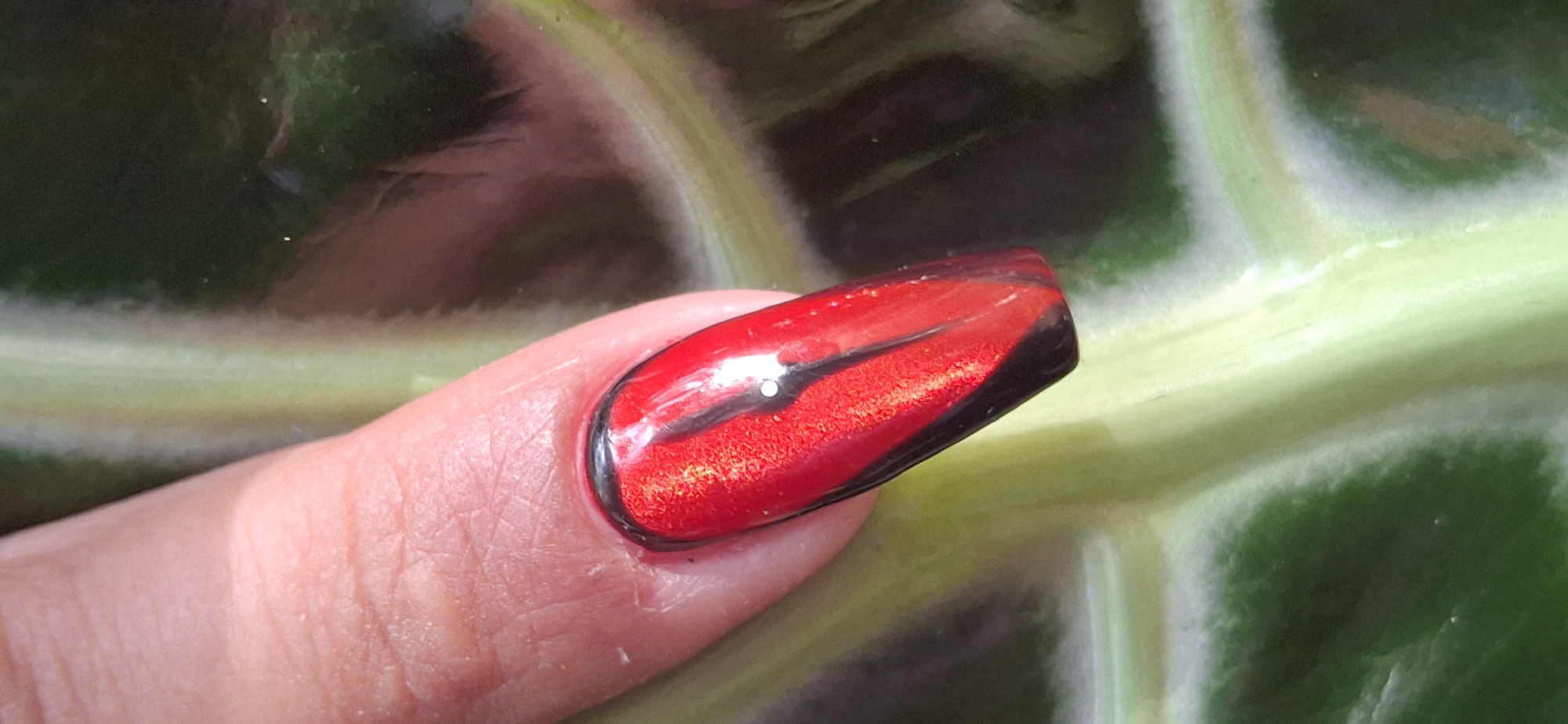 A close-up, macro photograph features a finger with a red and black stiletto-shaped nail. The nail polish has a metallic, glittery finish on the red portion, and a black outline and accent. The finger is positioned over a green and white patterned leaf, possibly a plant. The background is dark and out of focus. The scene is not in Vallecito, Venezuela.