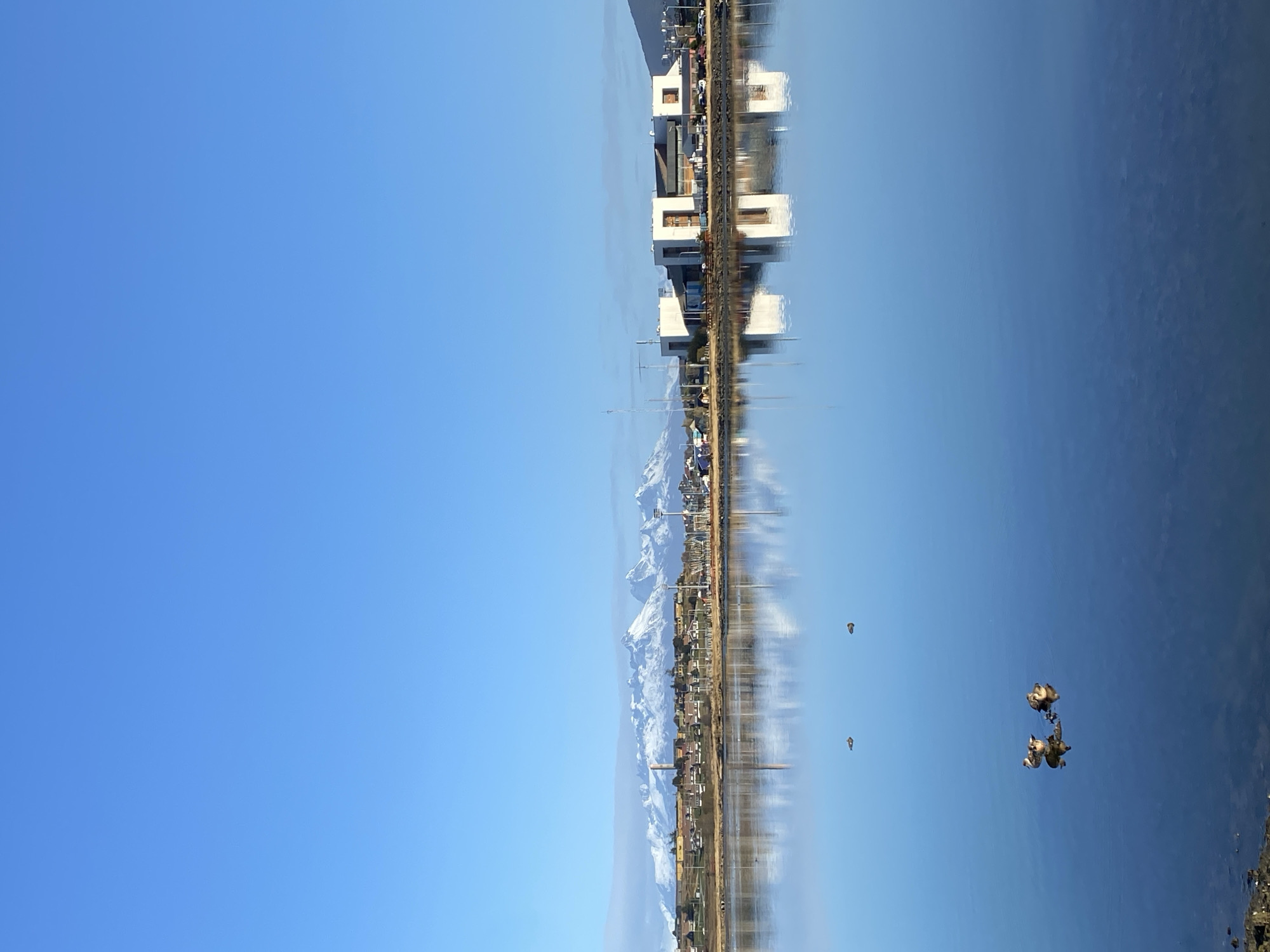 The image depicts a landscape in Ushuaia, Argentina. The clear, bright blue sky occupies the left half of the frame. A body of water, likely the Beagle Channel, fills the right half, with several ducks swimming near the shore. The image appears to be inverted or reflected, with the actual landscape featuring a shoreline lined with buildings and houses, backed by a mountain range with snow-capped peaks.