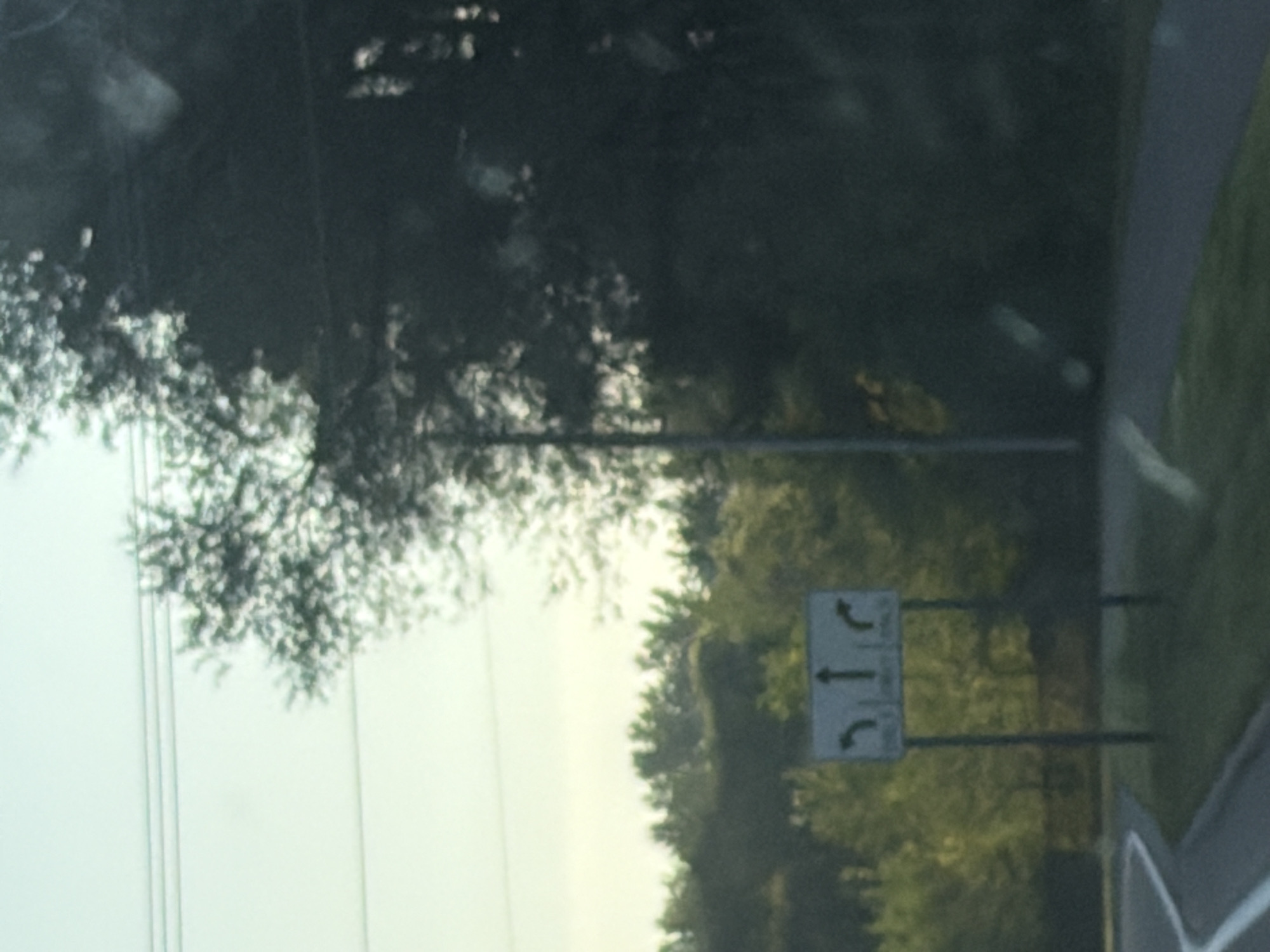 A sign with directional arrows is visible in the foreground, along with trees and power lines. The sign has three panels: the left panel shows a left-turning arrow, the middle panel shows an upward arrow, and the right panel shows a right-turning arrow. Below each arrow, there are words, though they are too blurry to be legible. The sign is mounted on two poles. The scene appears to be in a rural or suburban area.