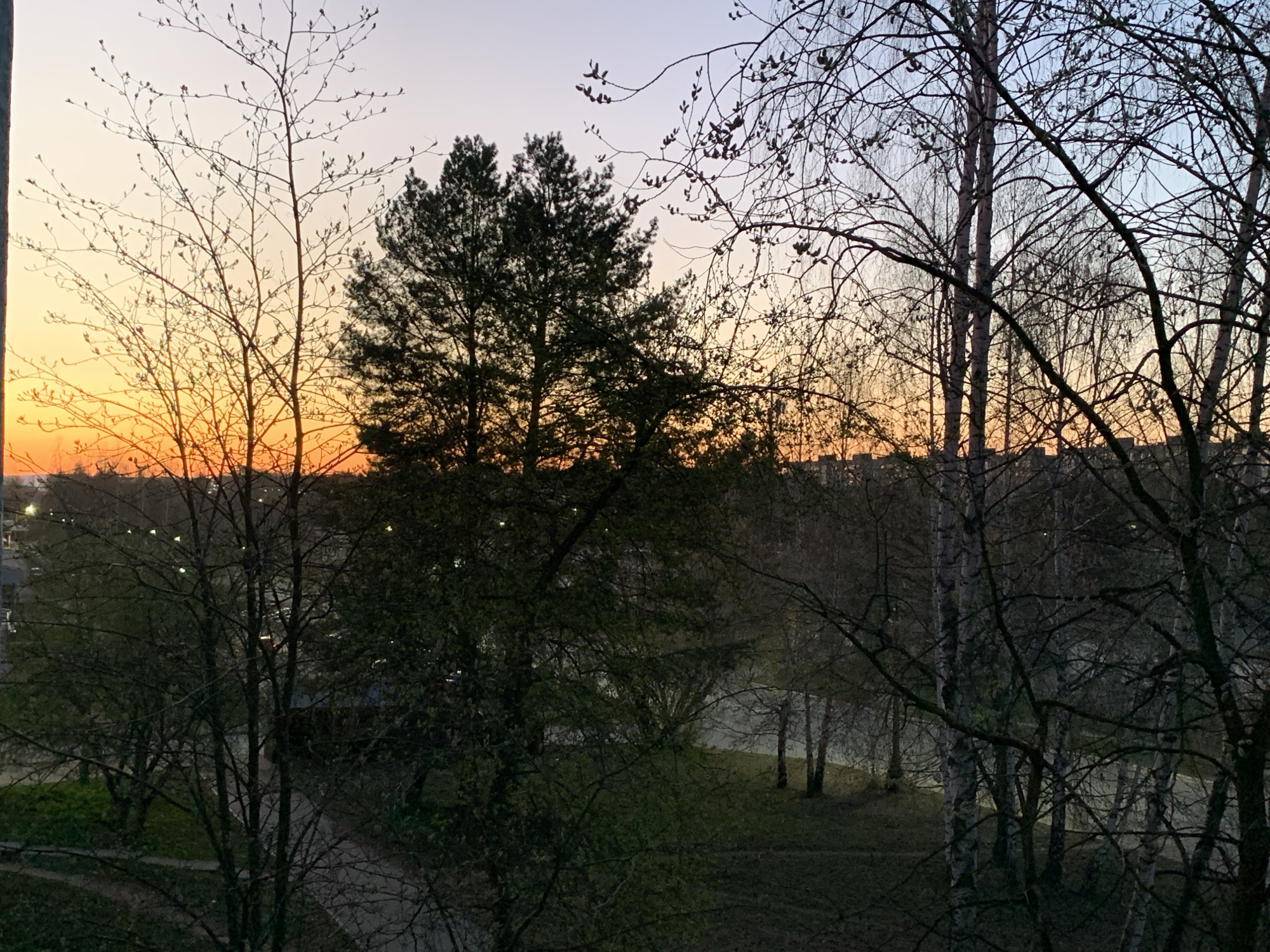 The image depicts a view from a window, likely in the city of Chaikovsky, Russia, suggested by the architecture and flora. The scene is dominated by trees, with several bare-branched trees in the foreground and a larger, fuller tree in the center. The sky is visible through the branches, displaying a gradient from orange to pale blue, suggesting either sunrise or sunset. Below the trees, there are suggestions of buildings and a park area with a pathway. The scene appears quiet and natural.