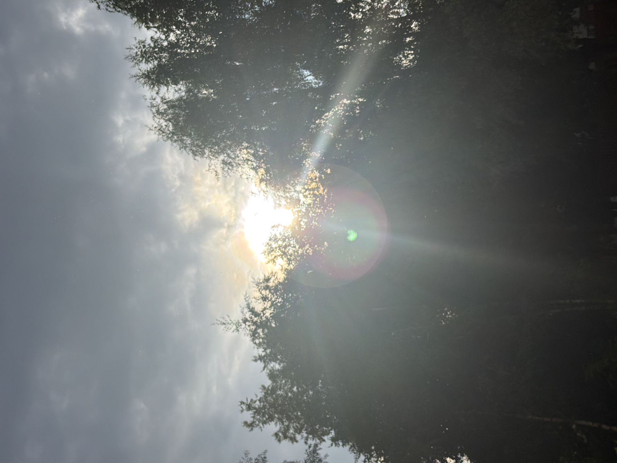 The image depicts a sun flare effect over a line of trees, likely captured in Chaikovsky, Russia. The sun is partially obscured by the trees, creating a bright glow that washes out the sky and parts of the foliage. A circular lens flare is visible in the lower center of the frame, with diagonal light streaks extending outwards. The sky is cloudy and overcast, with the sun's rays breaking through. The trees are dense and appear to be deciduous, with their leaves forming a dark silhouette against the bright sky. The overall impression is of a natural scene, possibly a park or a wooded area on the outskirts of the city.