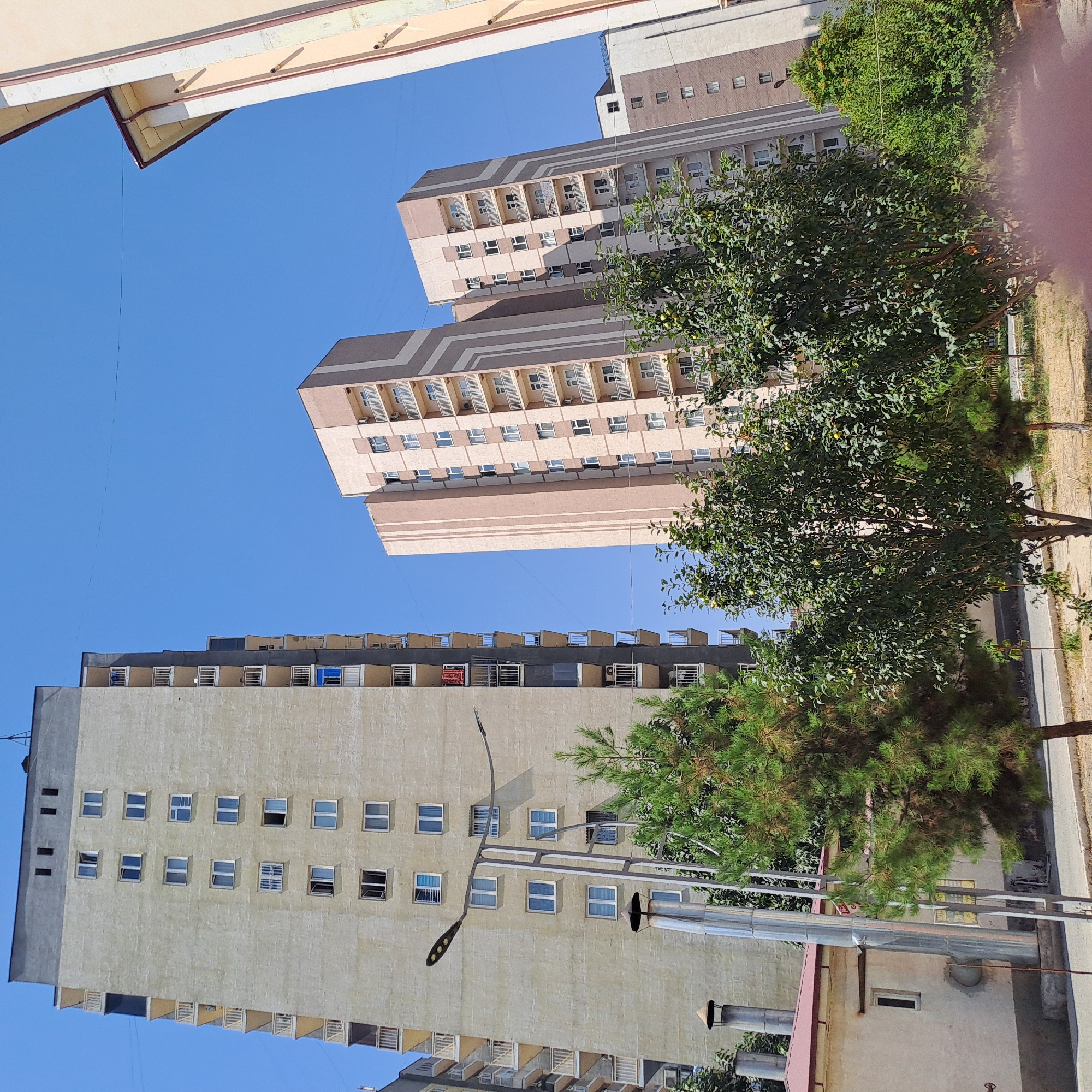 The image shows a street scene in Andijan City, Uzbekistan, under a clear blue sky. In the foreground, a street lamp with three lights is positioned prominently. To the left of the lamp, a light-colored, multi-story apartment building with many windows and balconies dominates the scene. Several green trees, including a pine tree, are visible in front of this building and extend towards the right side of the frame. Behind the street lamp, another taller apartment building with a textured, light-colored facade and numerous balconies is partially visible. Further to the right, two more modern apartment buildings with beige and brown color schemes and balconies are seen. The ground appears to be a paved area with some dry vegetation. The overall scene depicts a residential area in Andijan.