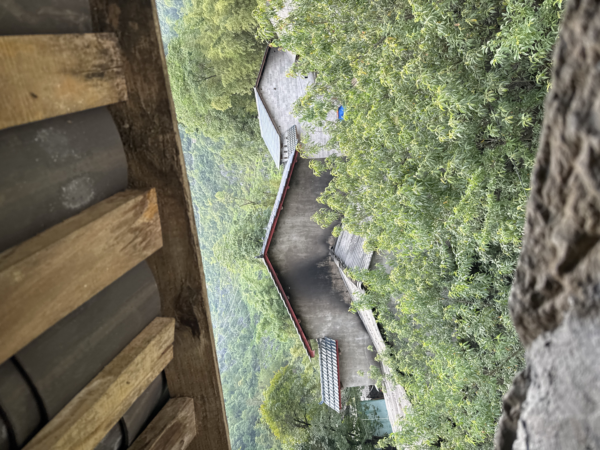 View from an elevated position, possibly a building, looking down upon a rural landscape in Sà Phìn Commune, Vietnam. The image contains:
1. **Built Environment:** Two visible concrete buildings with sloping roofs. One has a red trim along the roof edge. One has multiple windows visible.
2. **Natural Environment:** Lush green foliage partially obscures the buildings. A hillside or valley with dense vegetation is visible.
3. **Foreground Obstructions:** Elements from the viewing location are present: Wooden slats and curved roofing tiles. The edge of a gray stone structure is to the right of the frame.
The scene depicts a rural setting. The concrete buildings show a settlement within this natural environment. The image is at an angle.