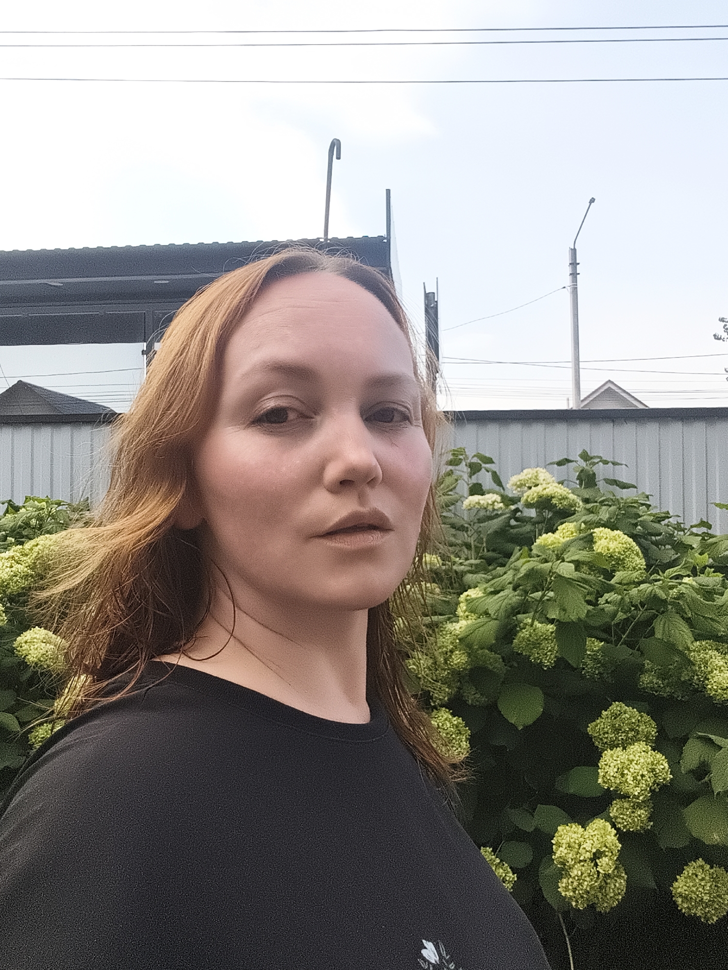 A young woman with reddish-brown hair, wearing a black t-shirt, is taking a selfie outdoors. She is positioned to the left of the frame, facing the camera with a neutral expression. Behind her, to the right, is a lush green bush with clusters of pale green flowers, possibly hydrangeas. The background features a corrugated metal fence, a dark-colored structure, and a utility pole with wires. The sky is overcast. The overall scene appears to be in a residential or garden area. The presence of the fence and utility pole suggest an urban or suburban environment. Given the context, this image could be located in the city of Chaikovsky, Russia.