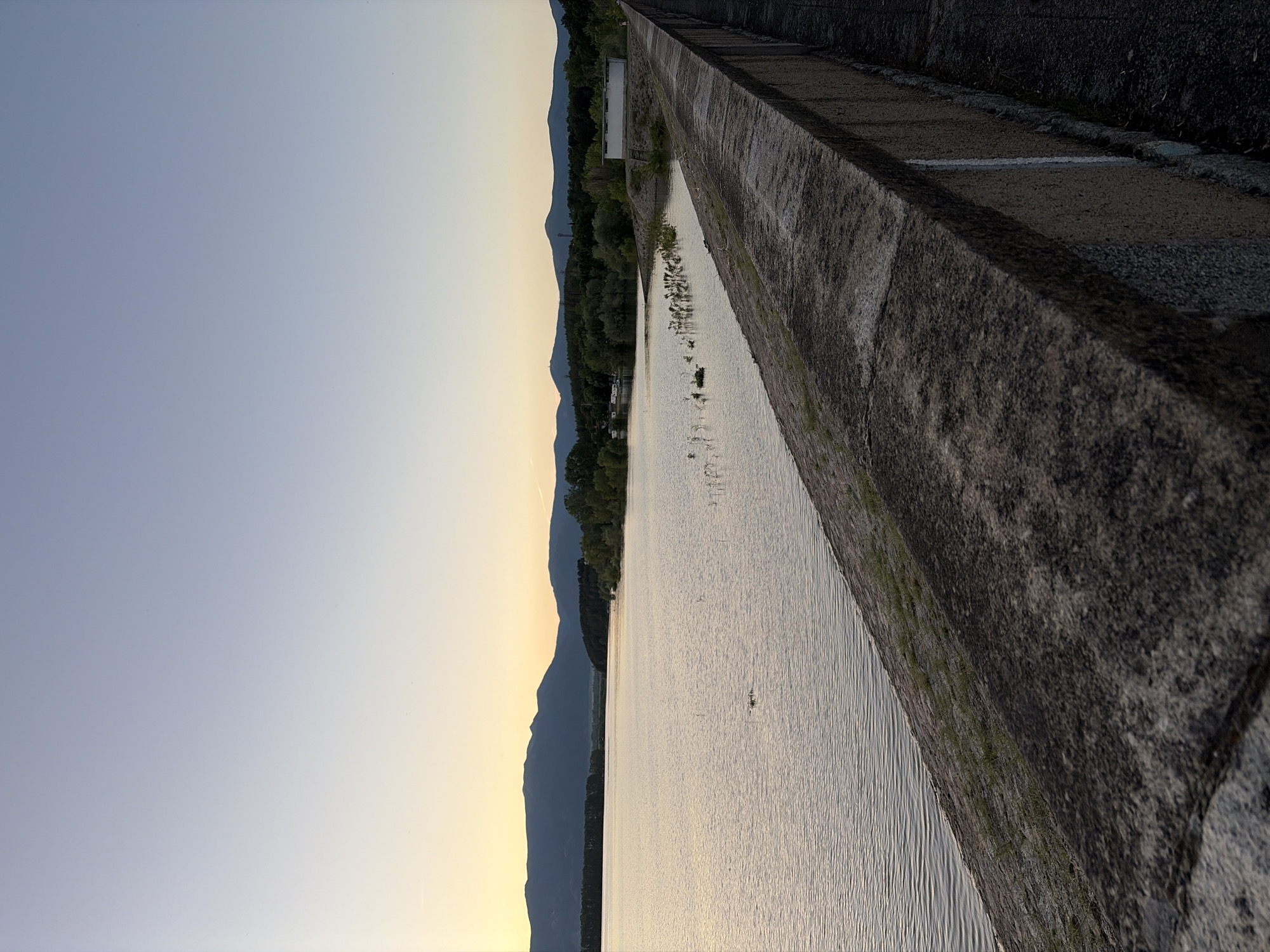 The image shows a wide view of the Koprinka dam in Koprinka, Bulgaria. The dam wall, constructed of rough, grey concrete, dominates the foreground, extending diagonally from the bottom right corner towards the left. The water of the dam stretches out towards a distant treeline and mountains under a clear, gradient sky transitioning from pale yellow at the horizon to a soft blue above. The water's surface is calm with subtle ripples, reflecting the muted light of what appears to be dusk or dawn. A few tufts of vegetation grow along the edge of the dam wall, and a cluster of reeds or small plants emerges from the water near the shore. In the middle distance, the treeline is dense, with a few structures, including what appears to be a small building, visible among the trees. The overall scene is tranquil and natural, with the imposing dam wall providing a man-made element to the landscape. No people are visible in the image.