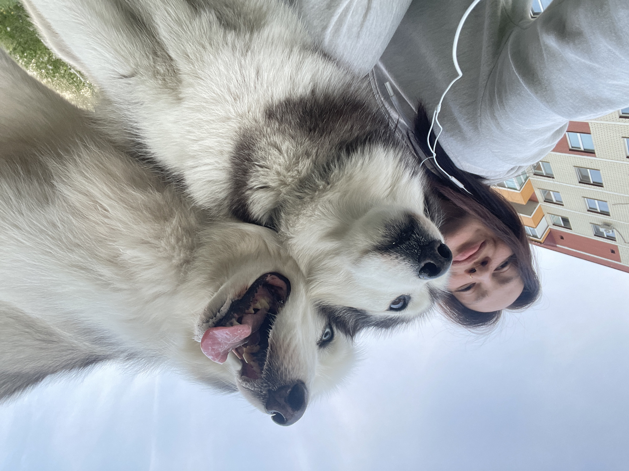 A low-angle, upside-down selfie shows a woman and two Siberian huskies against a cloudy sky, with a multi-story building visible in the background. The woman is fair-skinned with brown hair and is wearing headphones. One husky has open jaws revealing a pink tongue and teeth, while the other has blue eyes. The building behind them is in Izhevsk, Russia, characterized by orange, white, and maroon sections.