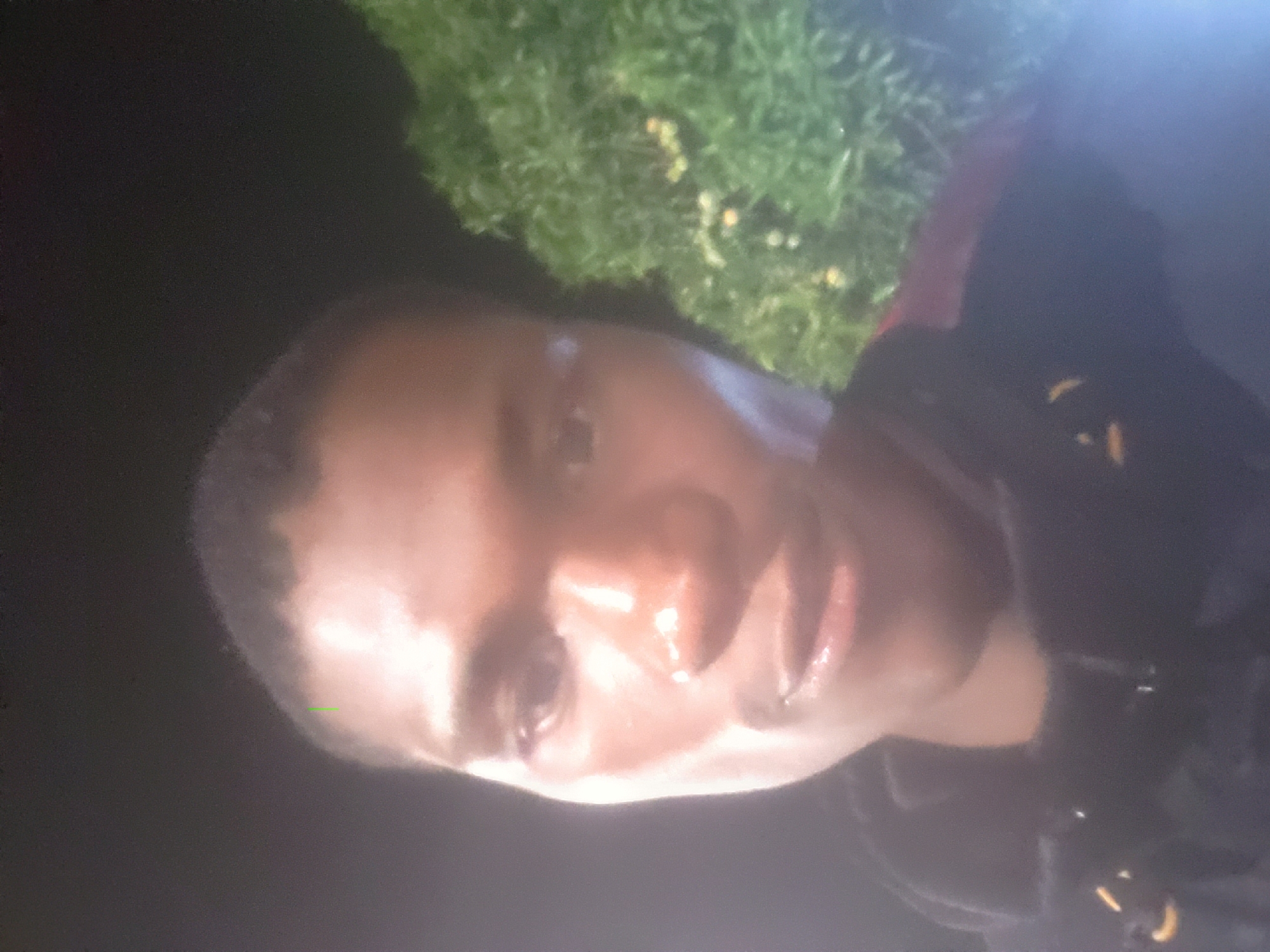 A close-up, rotated portrait of a man with dark skin and short hair is visible against a background of dark and light green vegetation. The man is wearing what appears to be a black jacket with yellow and white accents. The lighting is strong, highlighting the features of the man's face. The image provides no information about location.