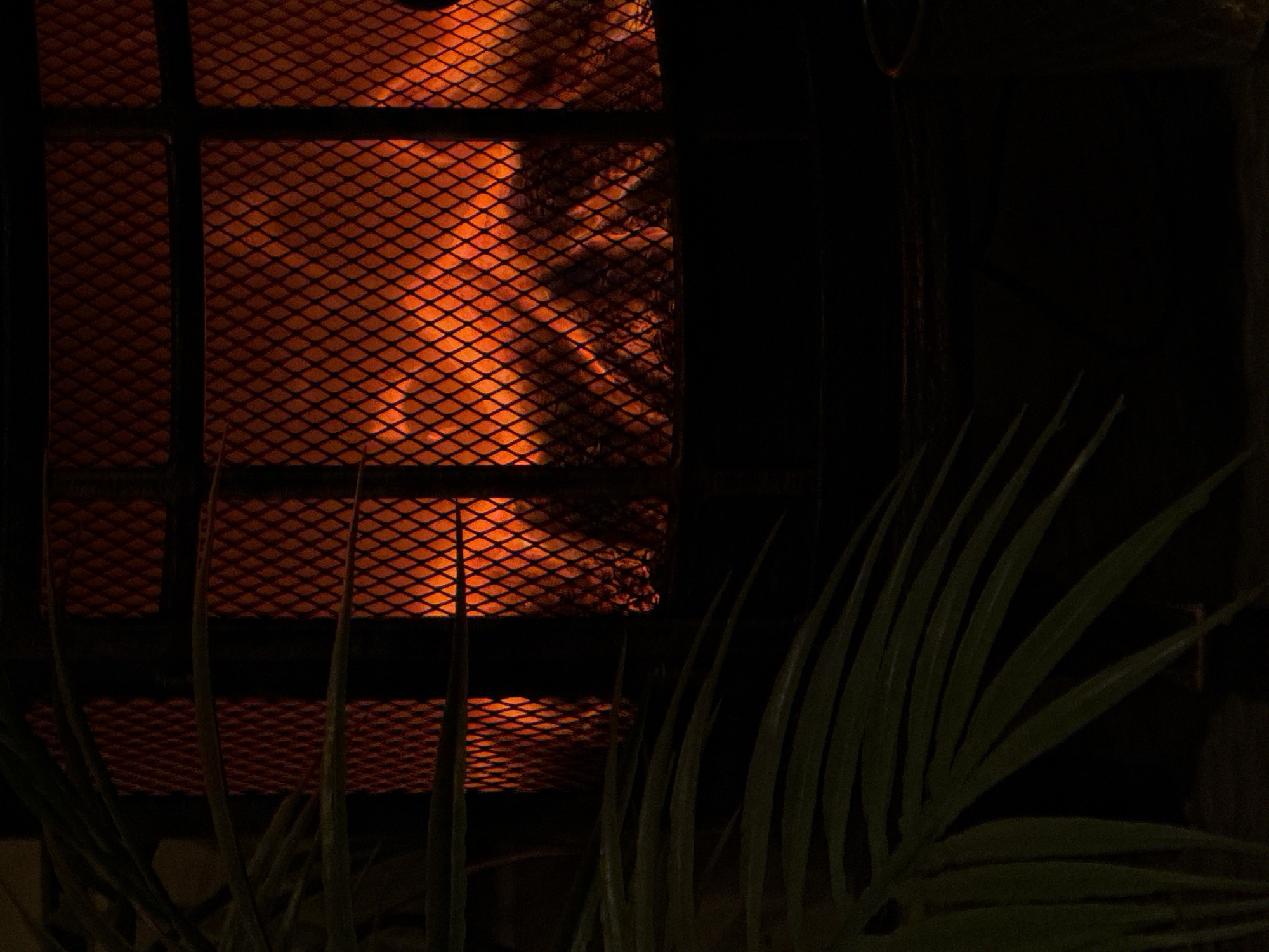 The image depicts a close-up view of a fireplace with a diamond-patterned metal grate. Inside the fireplace, bright orange flames and glowing embers are visible, suggesting a fire is burning. In the foreground, to the left, a dark green plant with long, slender leaves partially obstructs the view of the fireplace. The background is dark, creating a stark contrast with the brightly lit fire. There are no people or specific actions depicted in the scene. The location, Большая Венья, Russia, is a small village, and this image appears to be taken indoors or in an outdoor covered area, likely a home or patio, given the presence of a fireplace and plant.