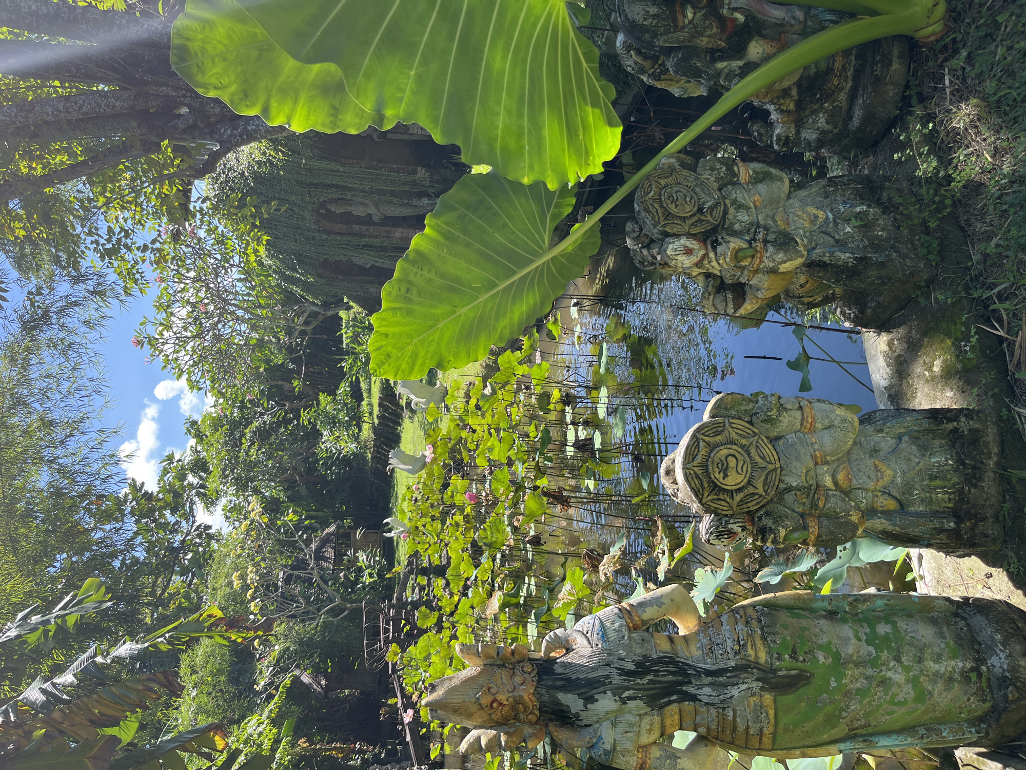 The image depicts a serene outdoor scene with a pond filled with lotus plants, two white swan statues, and several weathered stone statues in the foreground. The statues, some of which appear to be deities, are adorned with decorative headdresses and clothing, and show signs of age and weathering, with moss and dirt accumulating on their surfaces. Behind the pond, lush green vegetation, including trees and hanging vines, creates a dense backdrop. The sky is visible, with patches of white clouds against a clear blue. The overall atmosphere suggests a tranquil garden or temple complex, likely located in Denpasar, Indonesia, given the cultural style of the statues and the tropical foliage. The lighting indicates it is daytime, with sunlight filtering through the leaves and casting shadows.