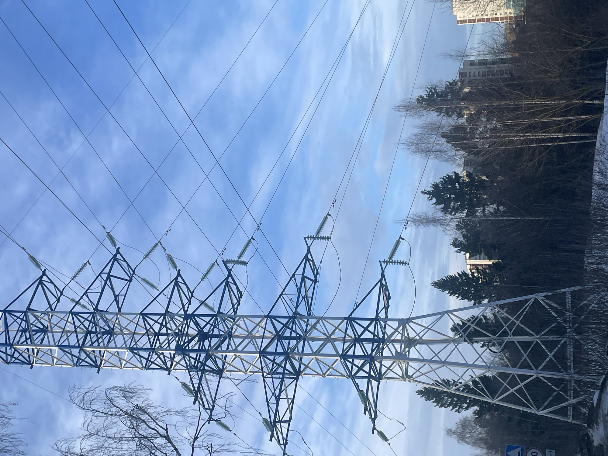 The image depicts an outdoor scene in Izhevsk, Russia, under a partly cloudy blue sky. A tall, lattice-structured electrical transmission tower, featuring alternating white and dark blue sections, stands prominently in the left and central frame. Multiple power lines extend horizontally from the tower, secured by light-colored cylindrical and disc-shaped insulators. Bare, fine branches of a deciduous tree, possibly coated in frost, are partially visible on the far left. The middle ground contains a dense line of evergreen coniferous trees mixed with leafless deciduous trees. Beyond these trees, several multi-story buildings, including one light-colored structure, are partially visible on the right side of the background. The foreground ground shows patches of snow and dark vegetation. A white bicycle wheel is suspended within the lower framework of the transmission tower. A section of a road sign, indicating a red circle with the number "30," is discernible on the far left. No people are present in the scene.