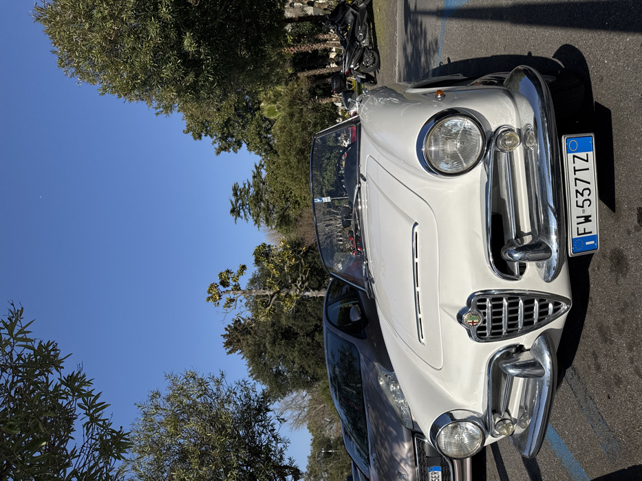 The scene depicts an outdoor parking area in Sirmione, Italy, under a clear blue sky with minimal cloud cover. A white vintage convertible sports car is prominently featured in the foreground, facing the viewer. The car possesses a chrome-accented front, including a central grille with an Alfa Romeo emblem, dual circular headlights with chrome bezels, and a multi-component chrome bumper system. An Italian license plate, "FW 537TZ", is affixed to the lower front bumper. To the immediate left and partially obscured behind the white car, a silver-grey modern hatchback is parked. Further back on the right side of the frame, a black scooter or motorcycle is also parked. The ground consists of dark asphalt pavement with visible blue painted lines designating parking spaces. The background is dominated by a dense line of various trees, encompassing both tall evergreens and deciduous types with visible foliage. Distinct shadows are cast on the asphalt pavement from the white car and possibly overhead objects. No individuals are visible within the frame, and no actions or interactions are occurring.